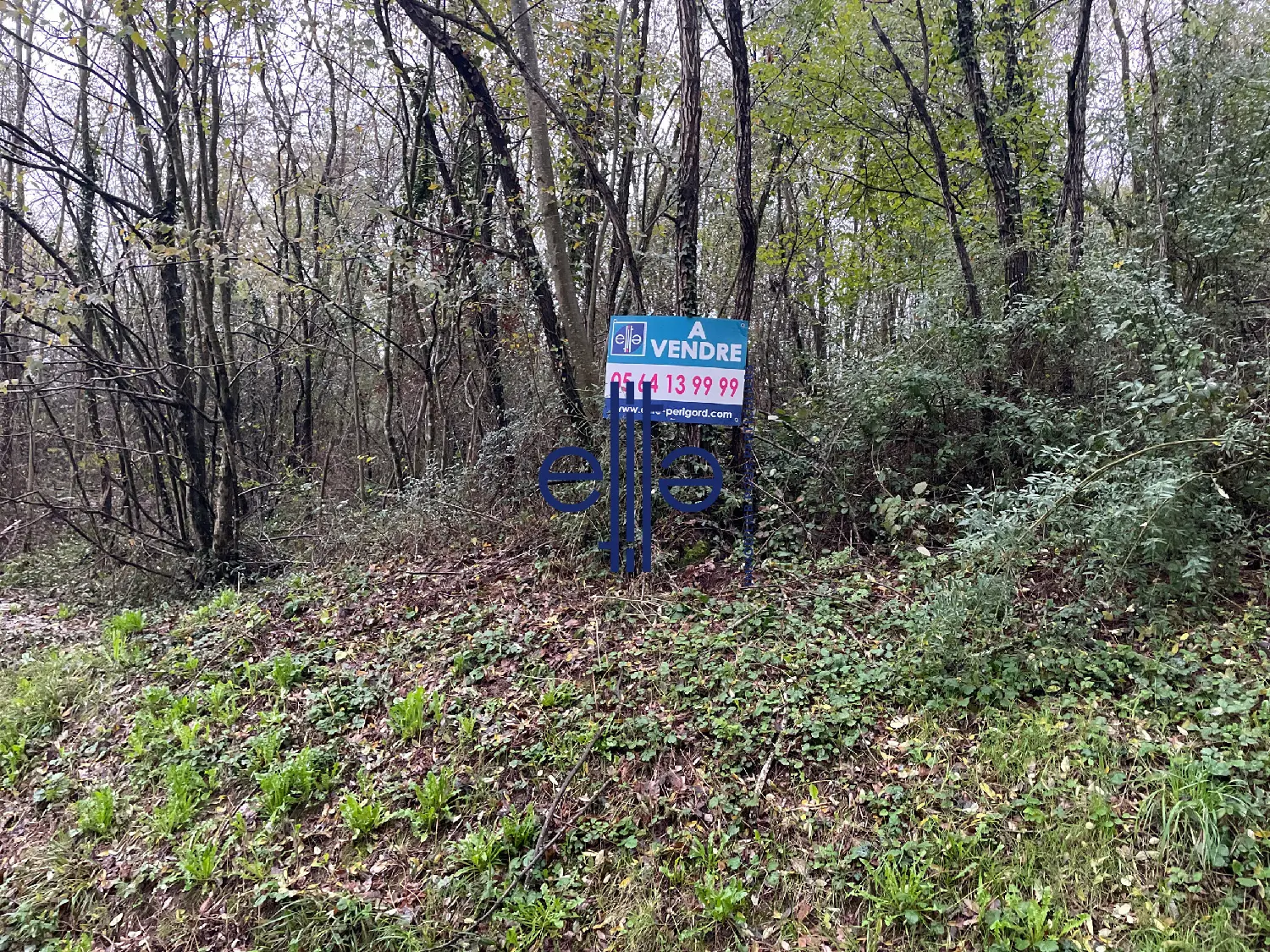  te koop terrein Condat-sur-Vézère Dordogne 1