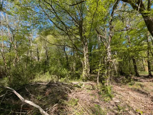 Courtomer Seine-et-Marne Grundstück Bild 7107323