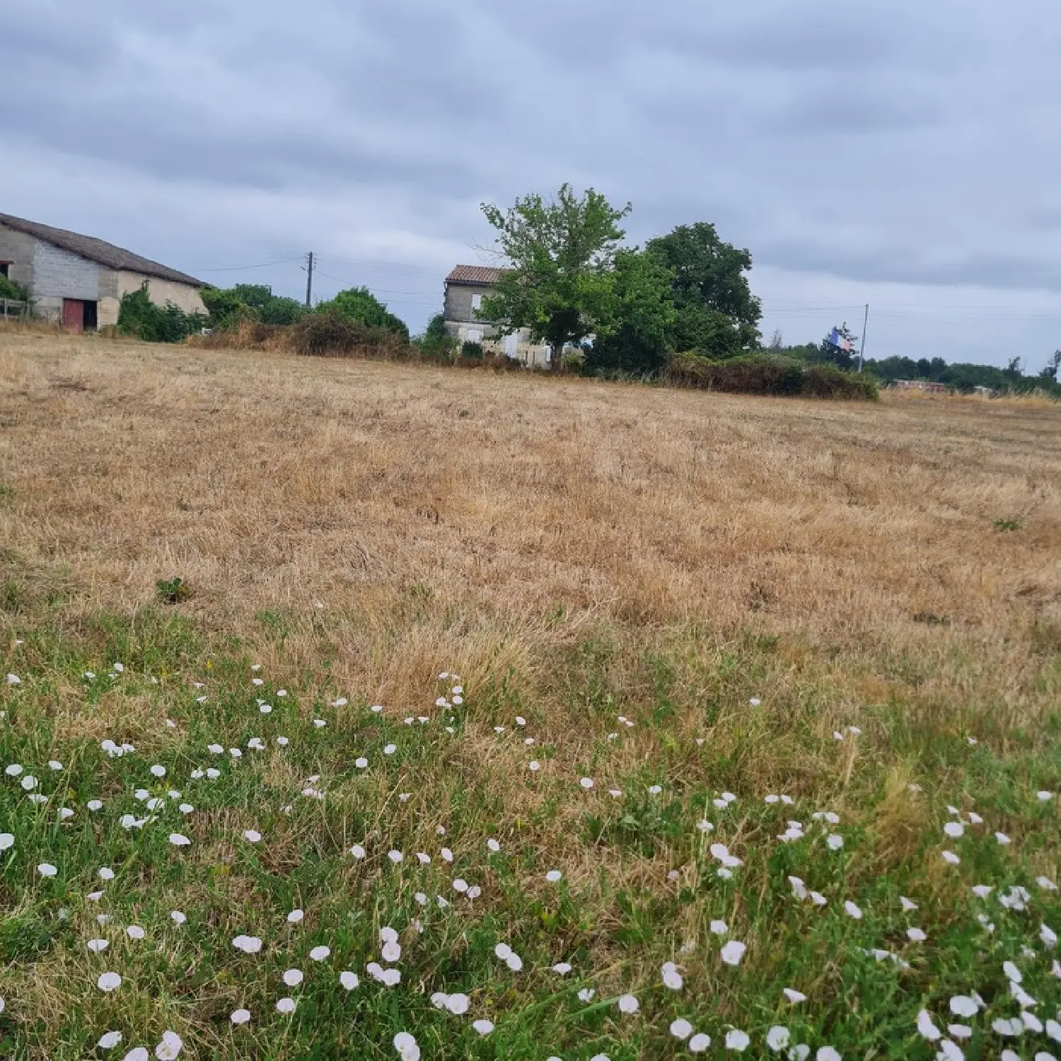  for sale terrain Coutras Gironde 1