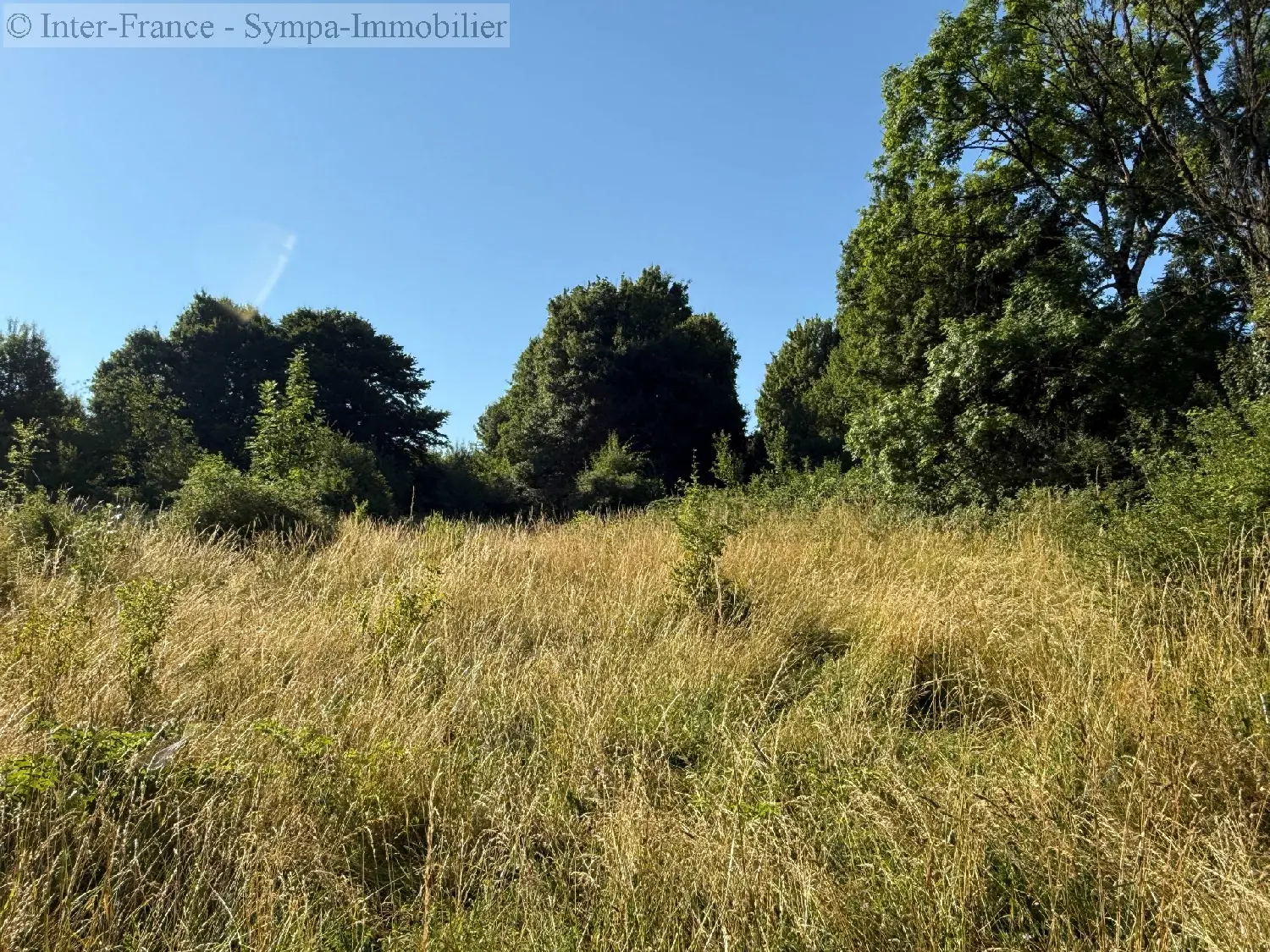  en venta terreno Damrémont Haute-Marne 8