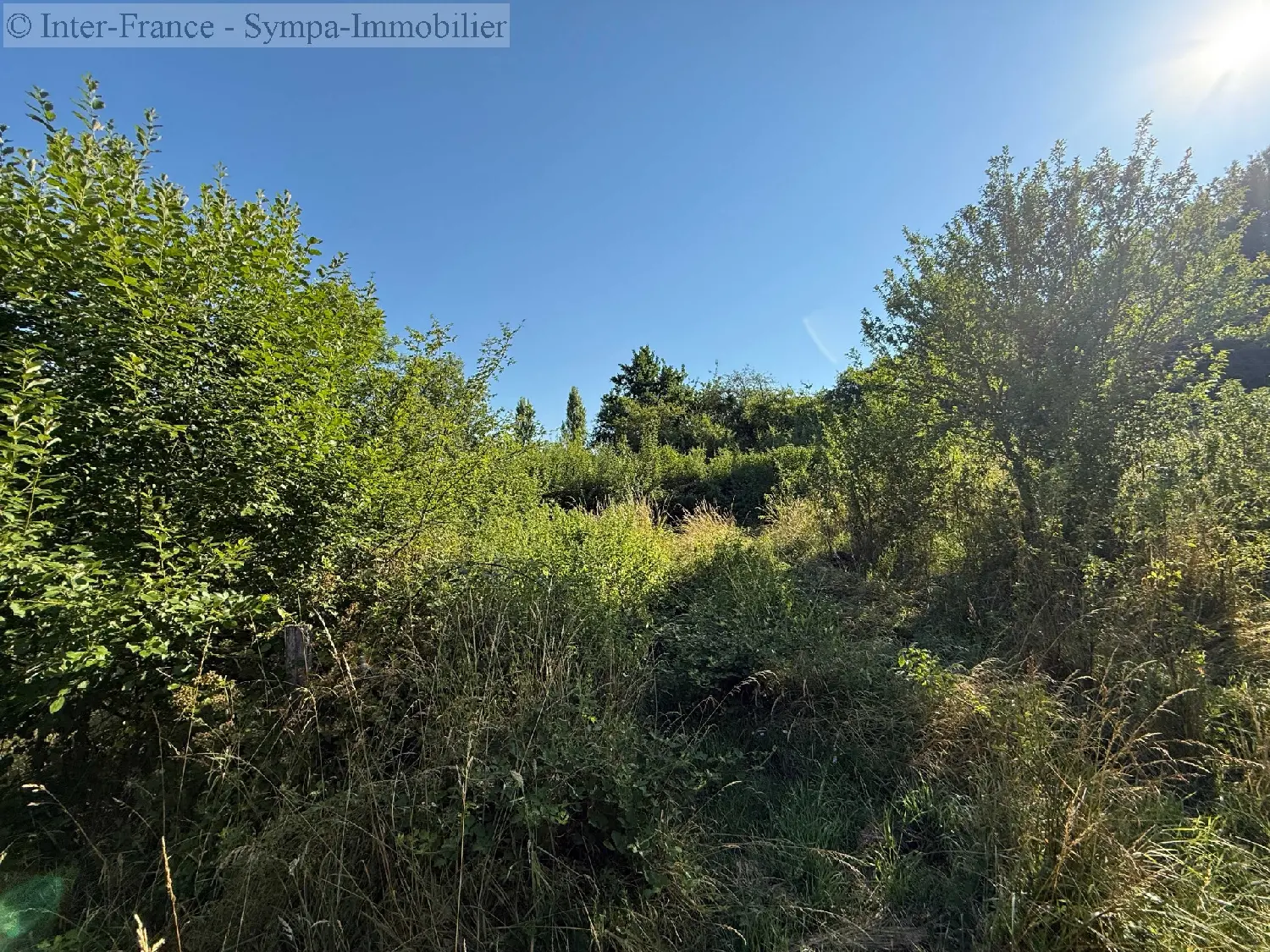  en venta terreno Damrémont Haute-Marne 9