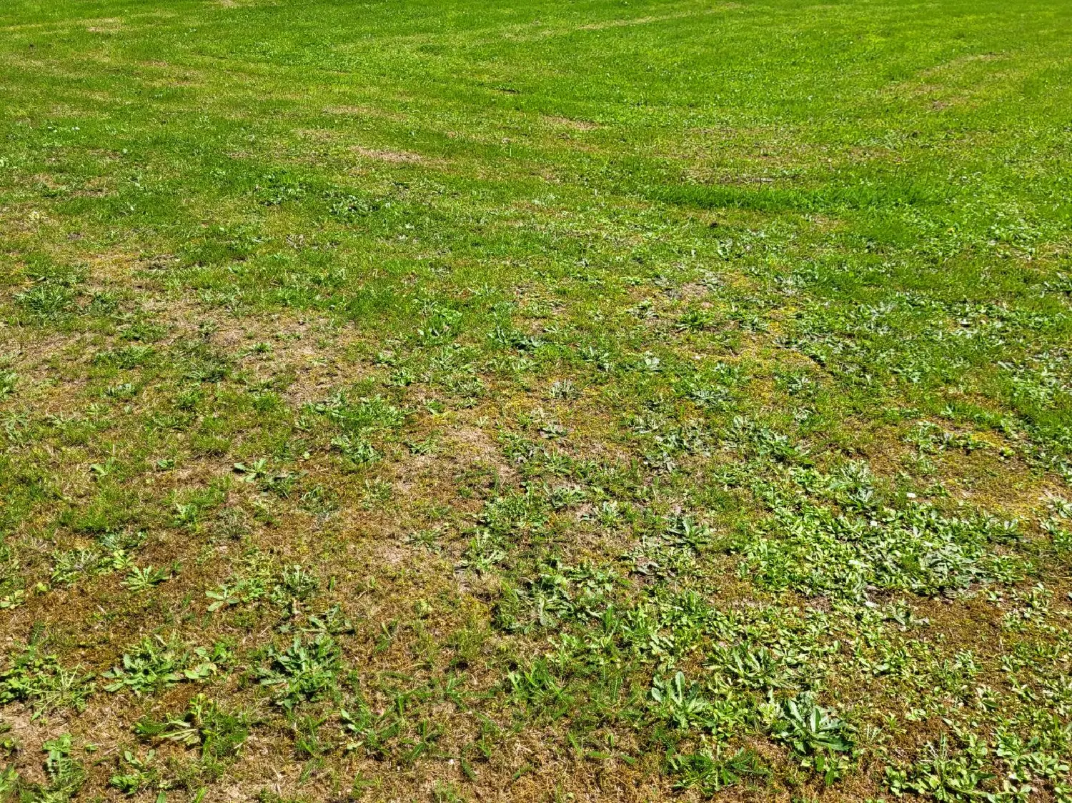 en venta terreno Dompierre-sur-Veyle Ain 3