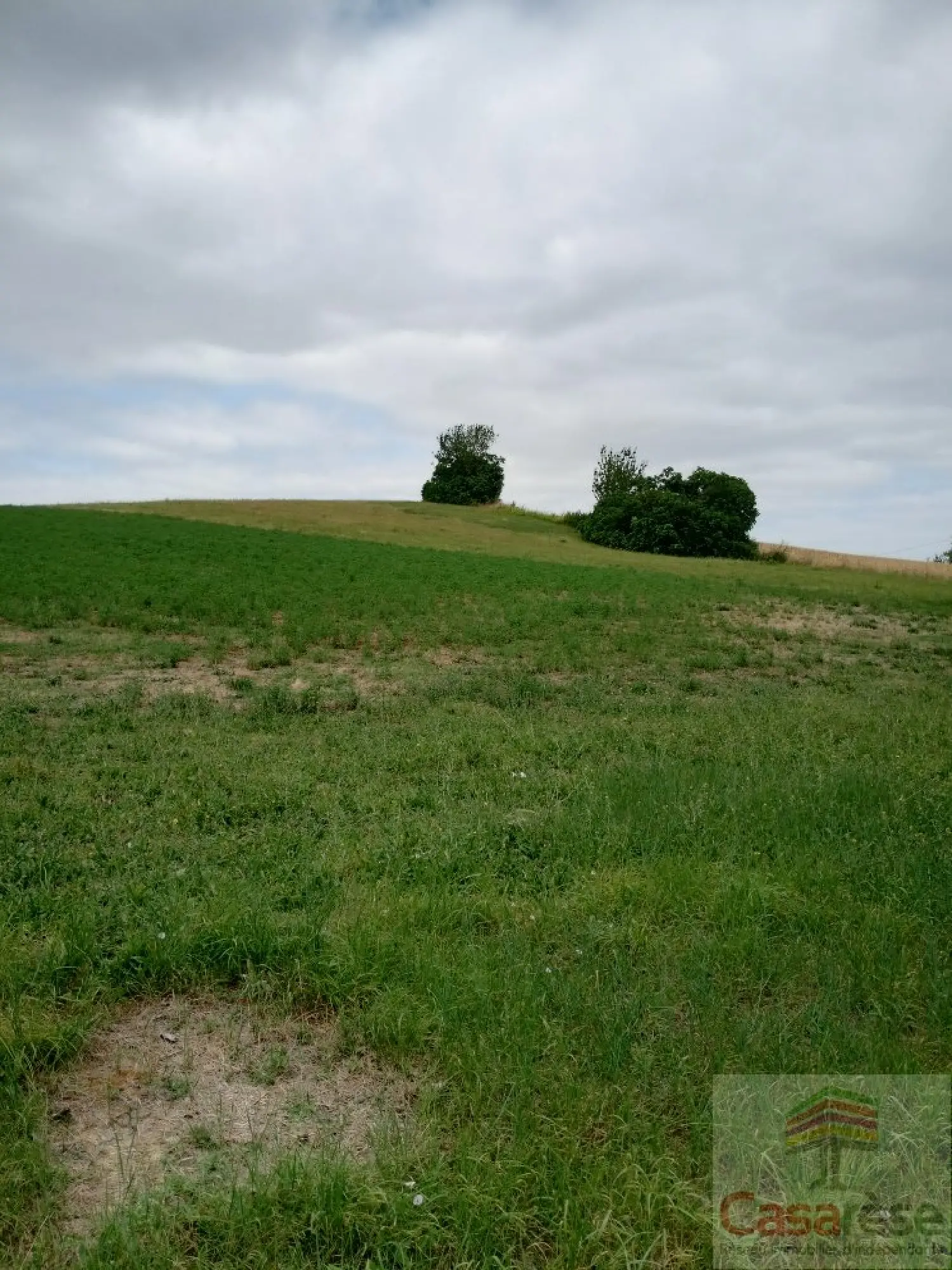  for sale terrain Faudoas Tarn-et-Garonne 3