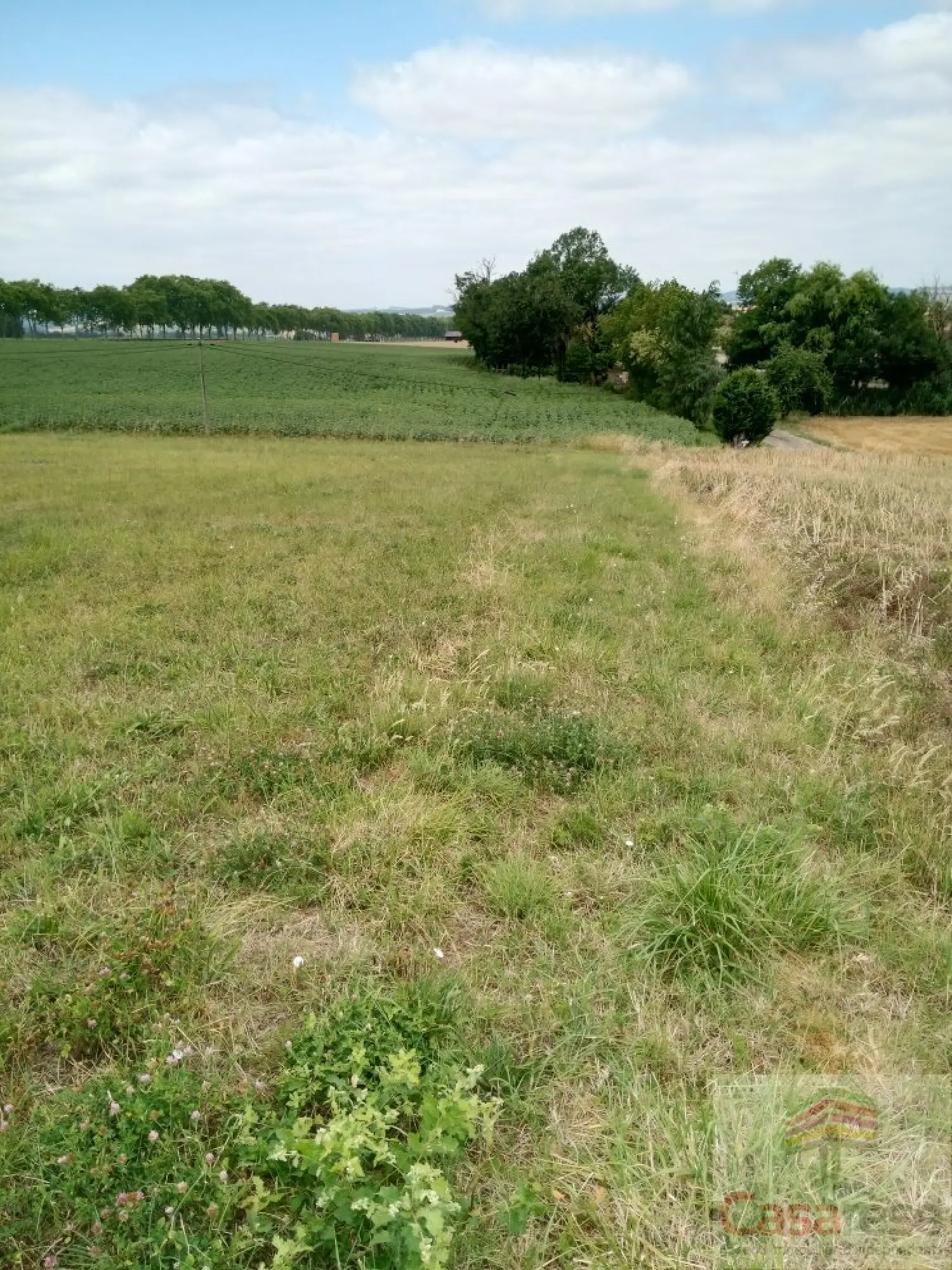  for sale terrain Faudoas Tarn-et-Garonne 4