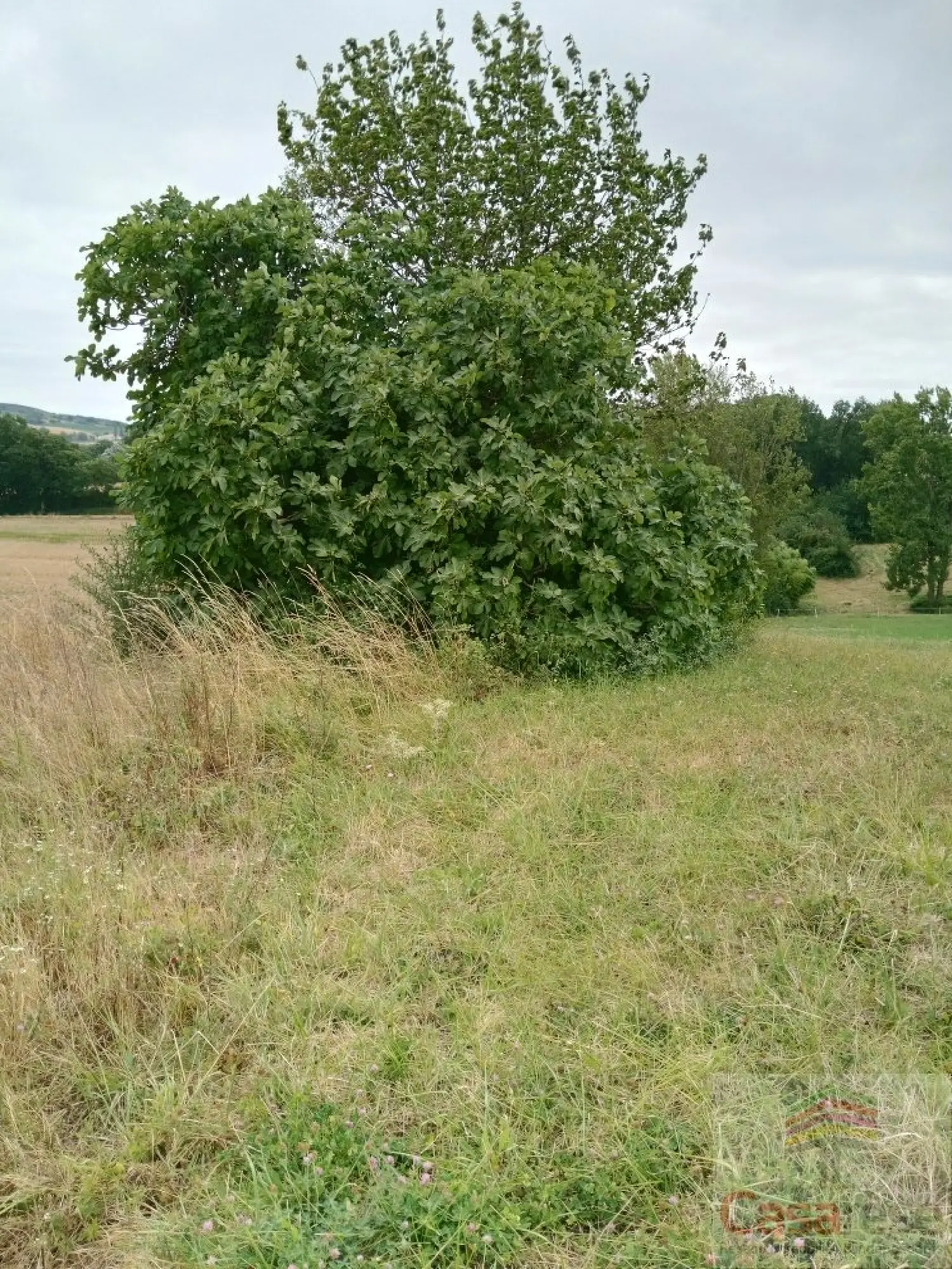  for sale terrain Faudoas Tarn-et-Garonne 5