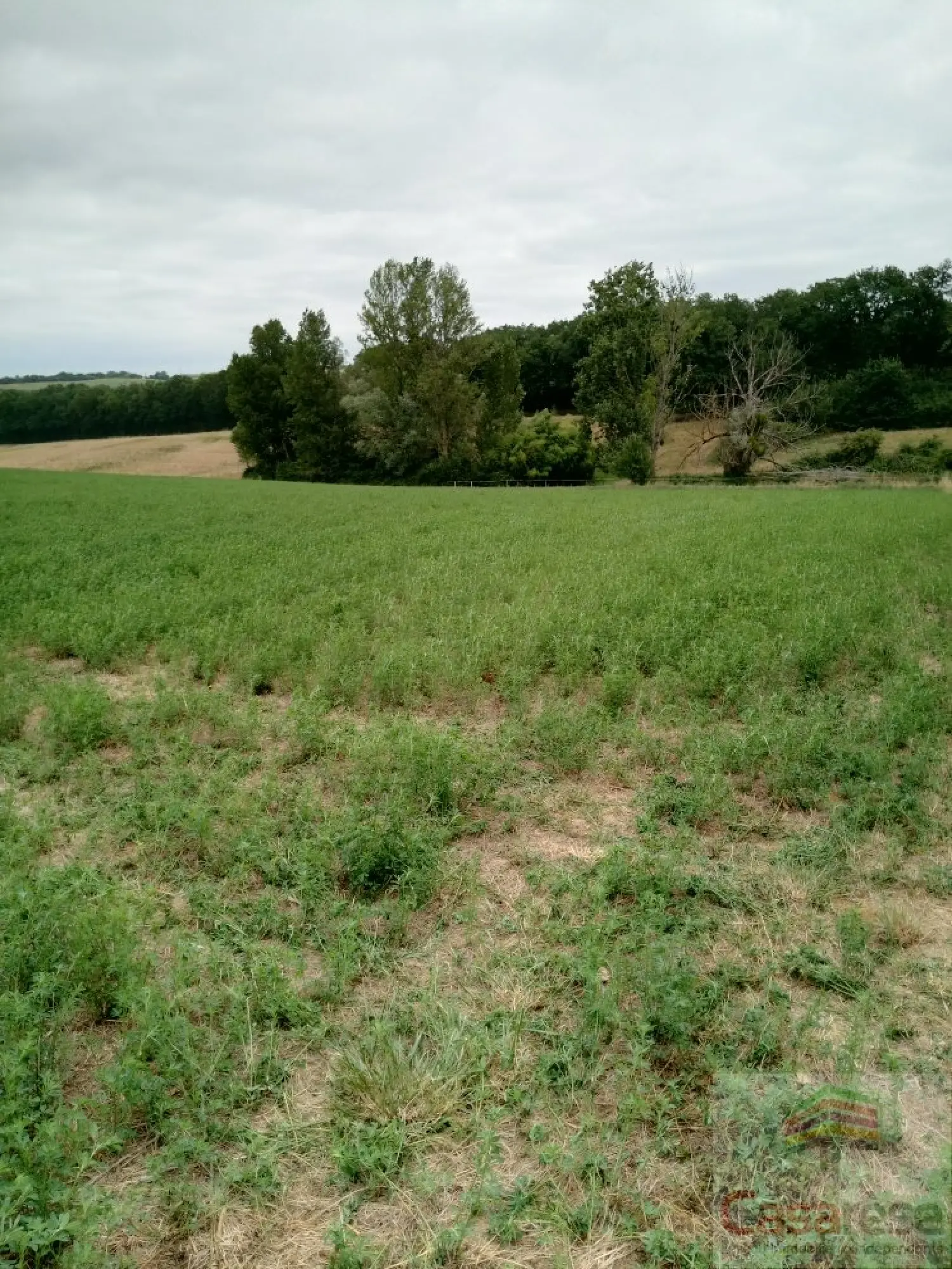  for sale terrain Faudoas Tarn-et-Garonne 8