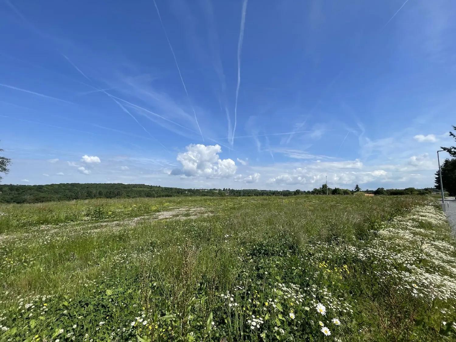  en venta terreno Feytiat Haute-Vienne 5