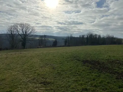 Flavigny-sur-Ozerain Côte-d'Or terreno foto 7107691