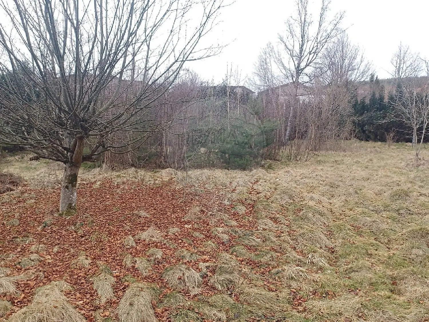  kaufen Grundstück Gérardmer Vogesen 1