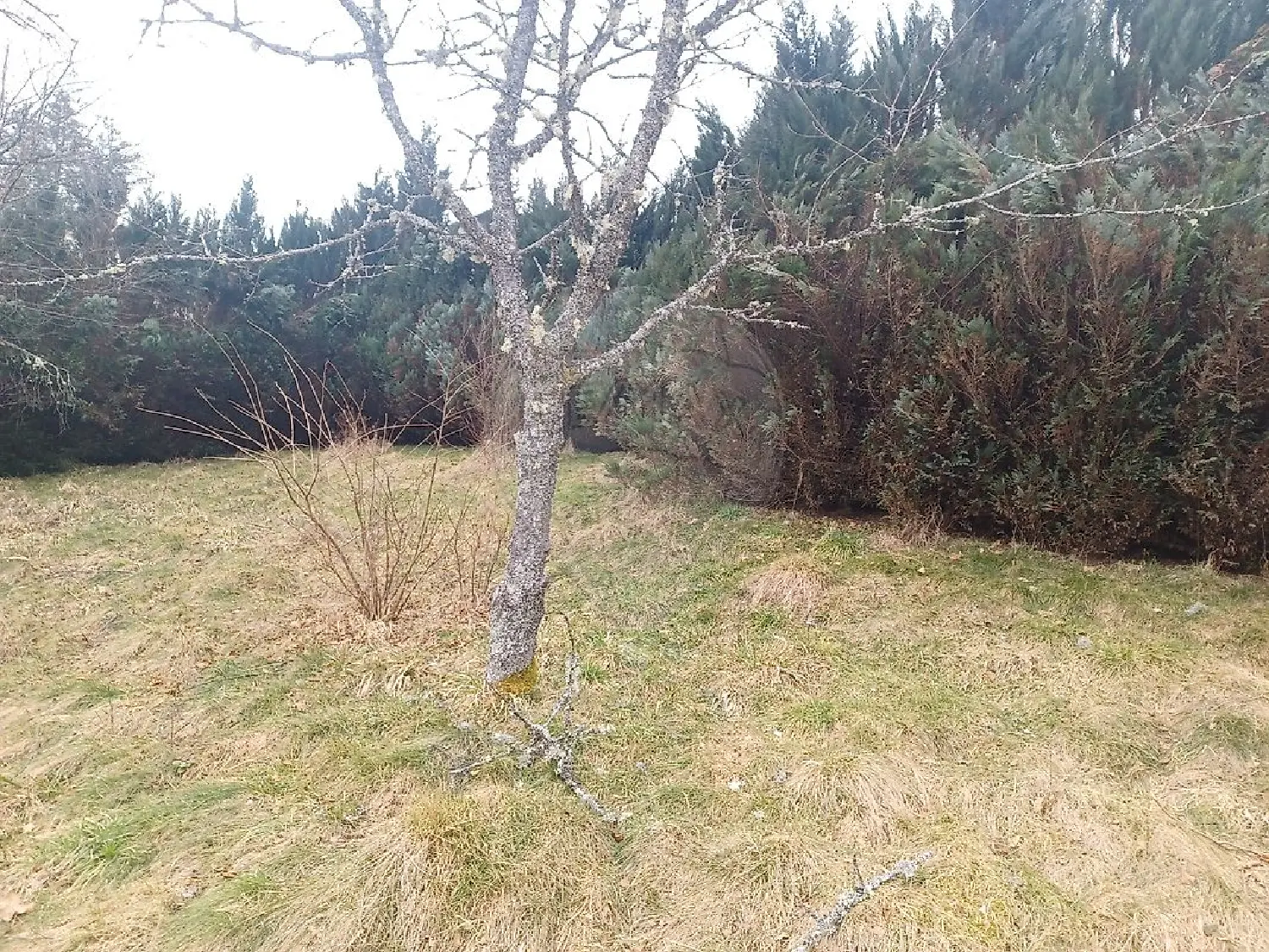  kaufen Grundstück Gérardmer Vogesen 8