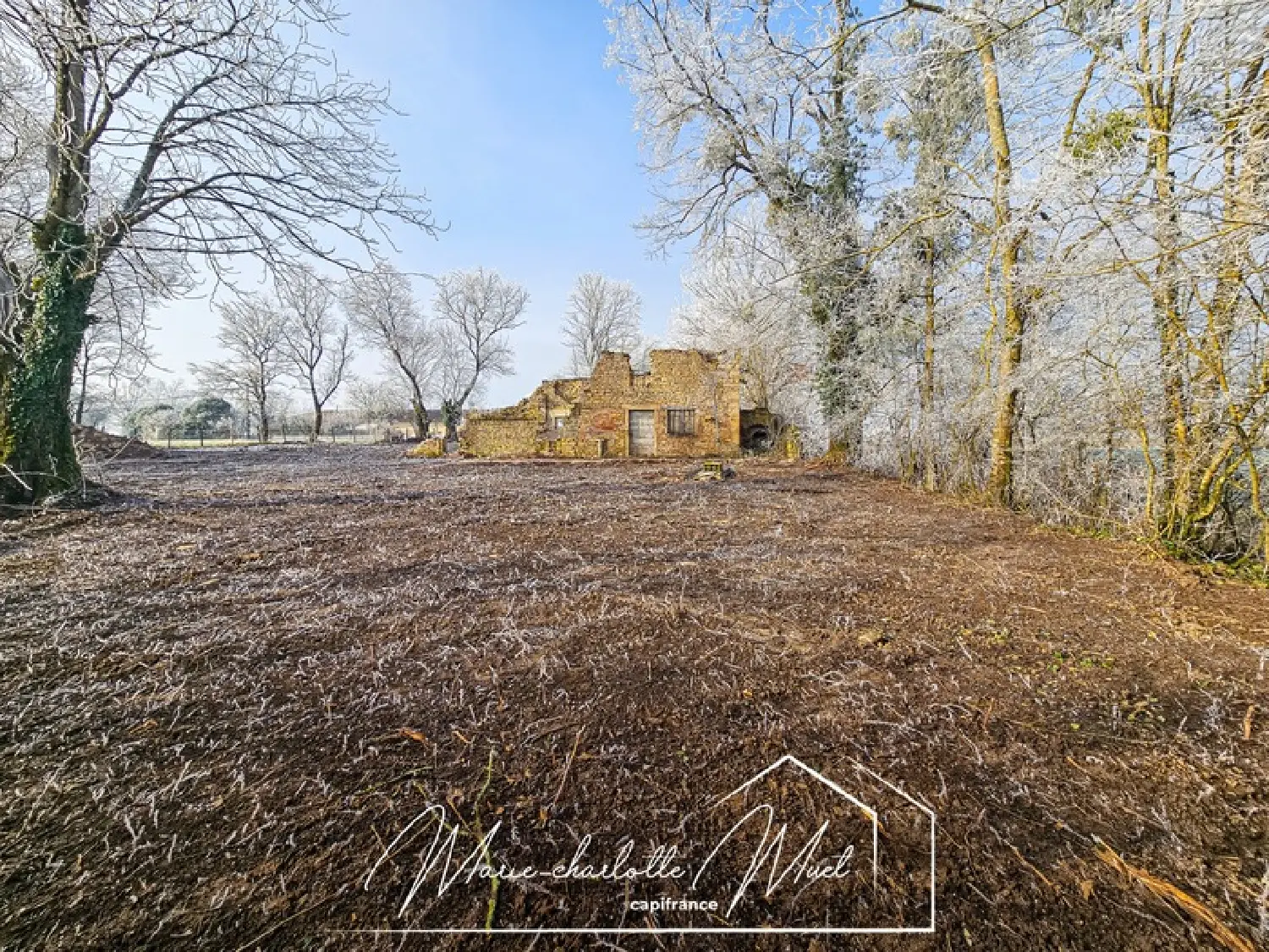  for sale terrain Gorrevod Ain 2