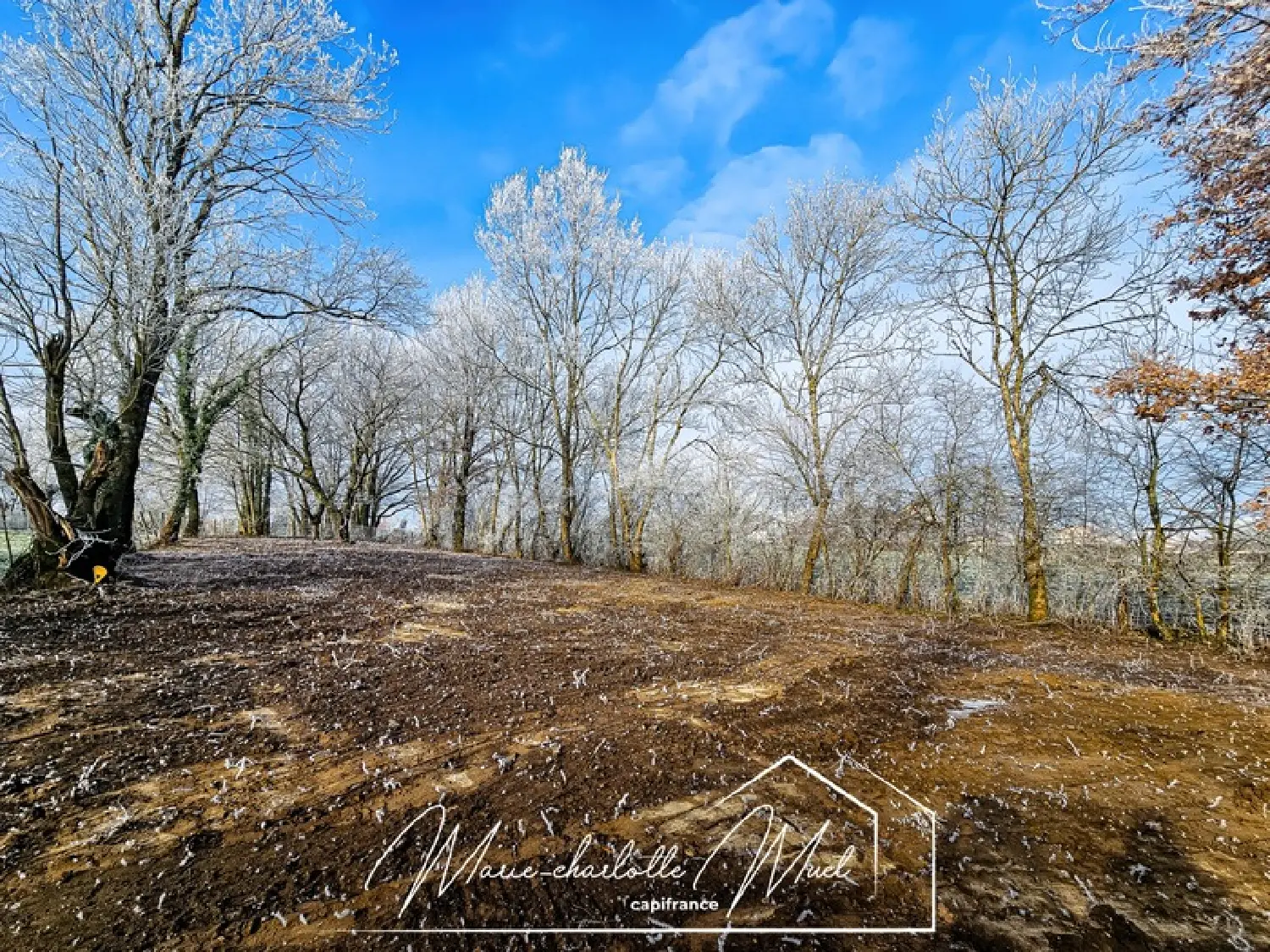  for sale terrain Gorrevod Ain 3