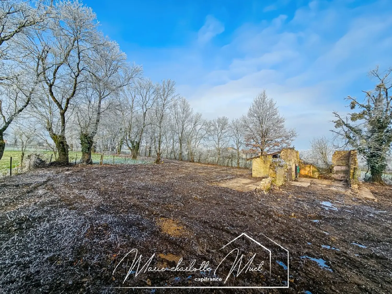 for sale terrain Gorrevod Ain 4