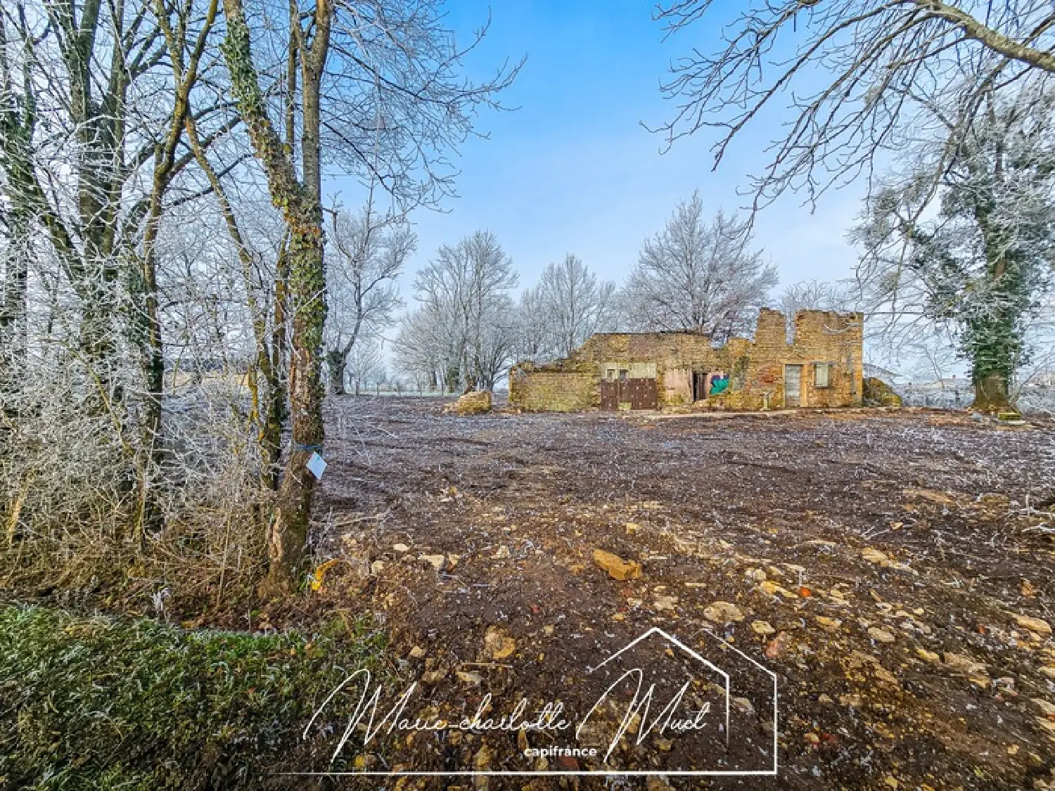  for sale terrain Gorrevod Ain 5