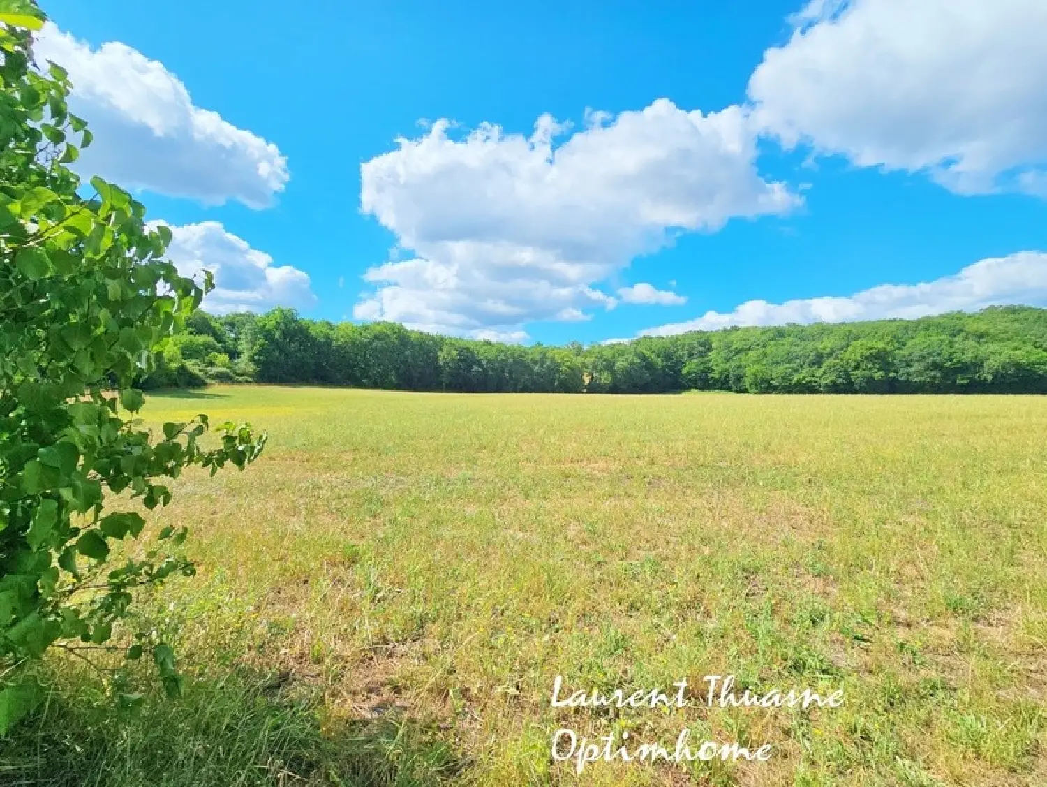  te koop terrein Granges-d'Ans Dordogne 2