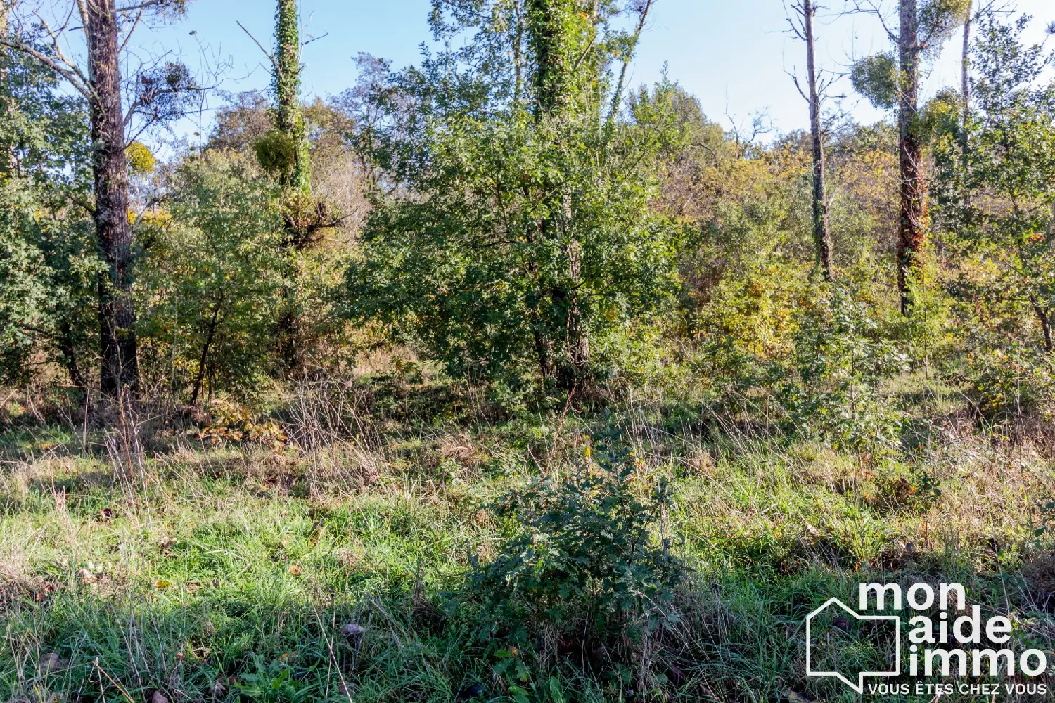  te koop terrein Grignols Gironde 4