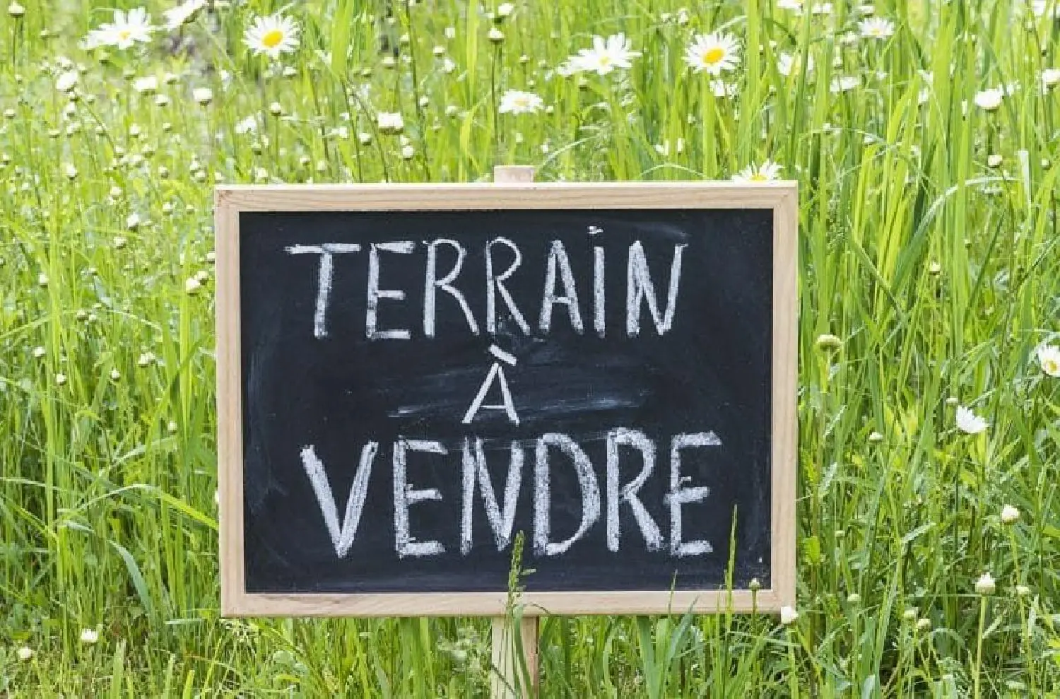  for sale terrain Grosbreuil Vendée 1
