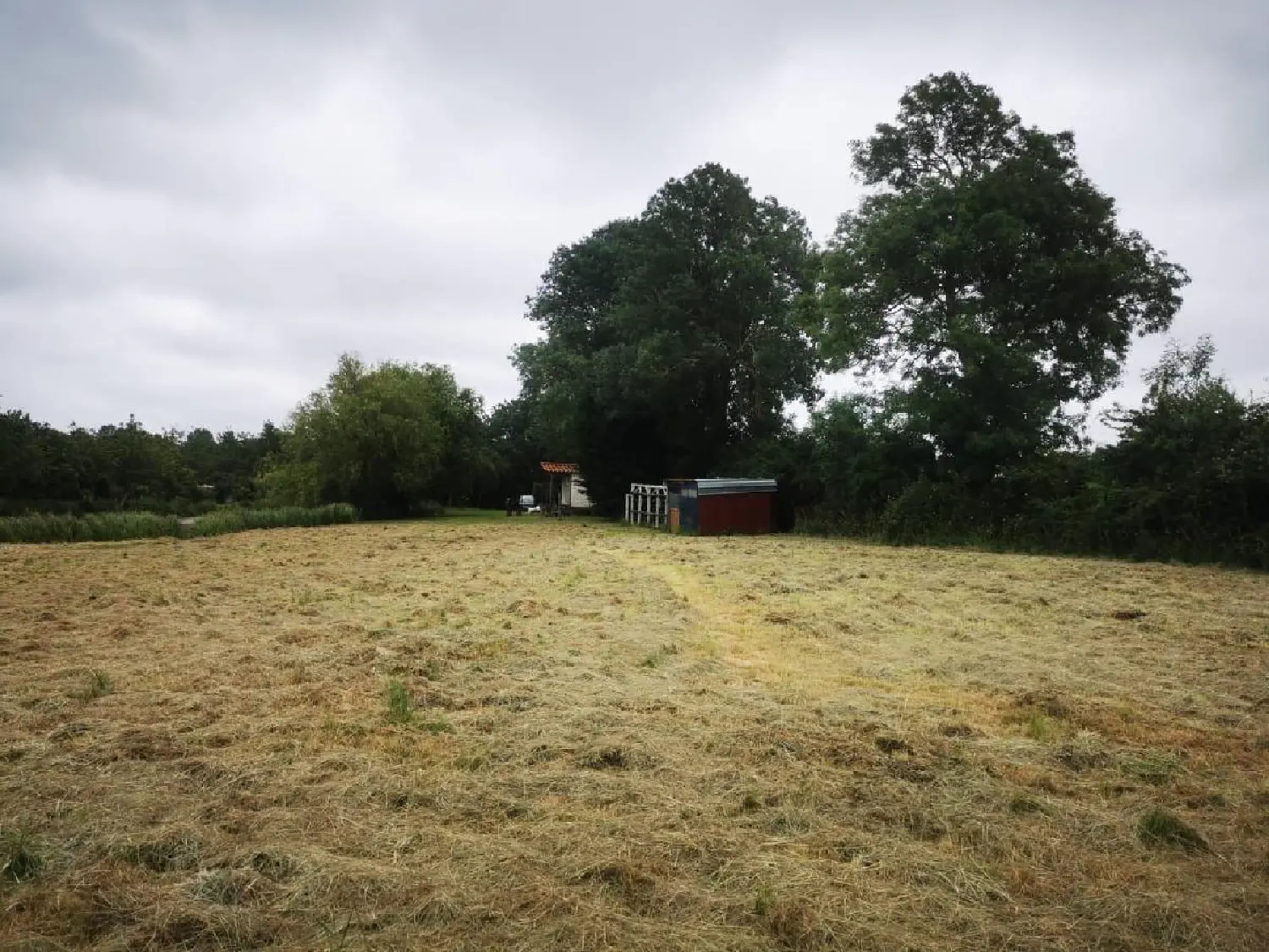 for sale terrain Grosbreuil Vendée 5