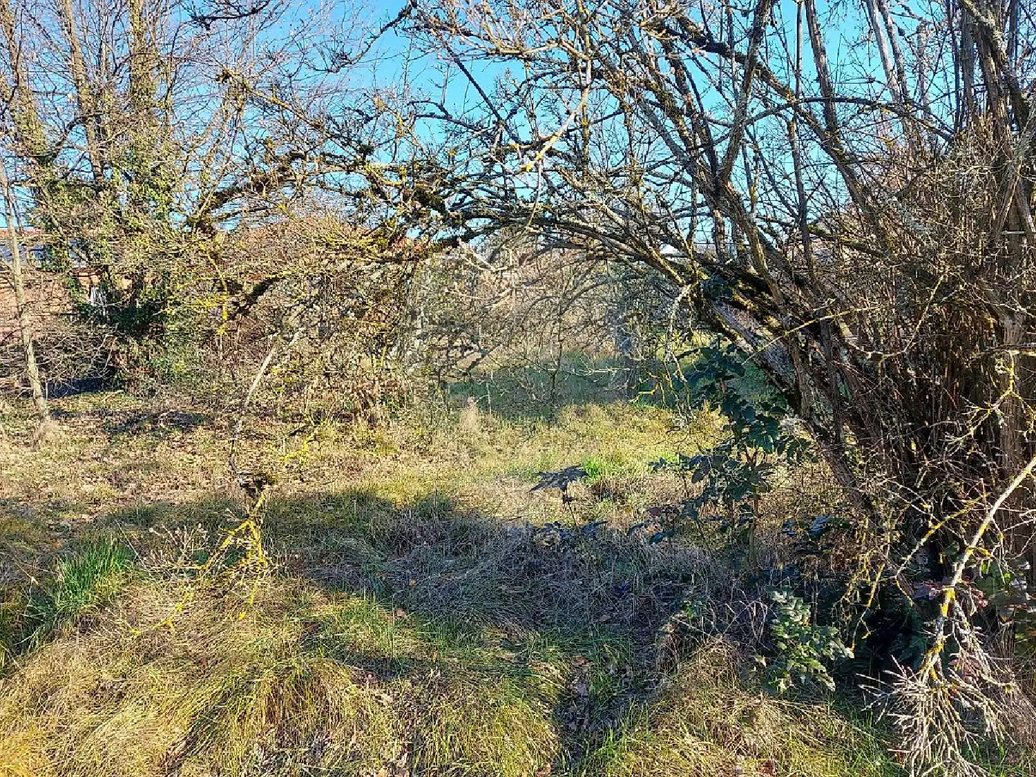  en venta terreno Guéreins Ain 3