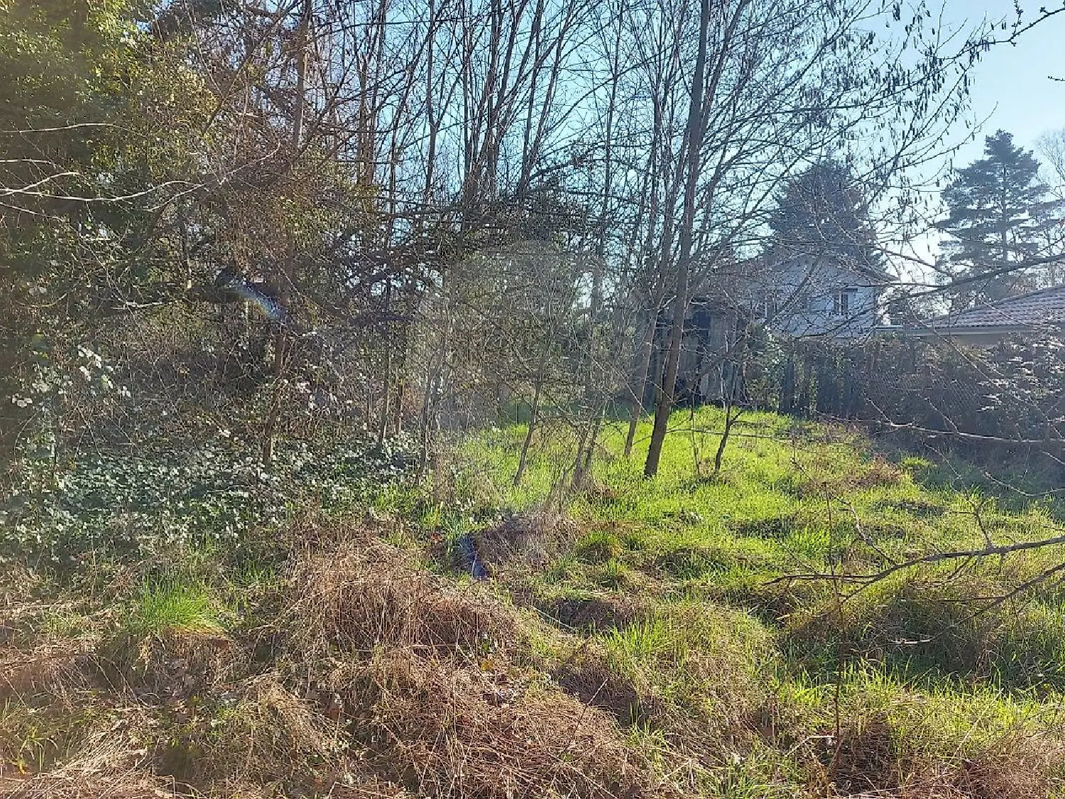  en venta terreno Guéreins Ain 7