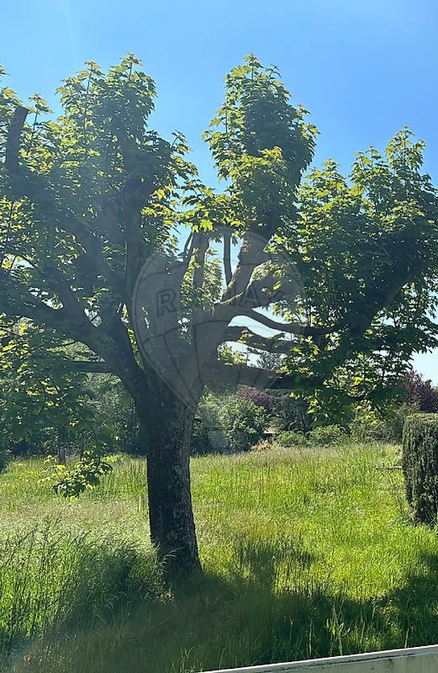  te koop terrein Knutange Moselle 2