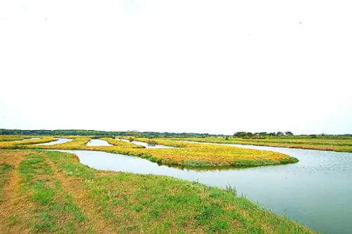 L'Île-d'Olonne Vendée terrain foto 7111508