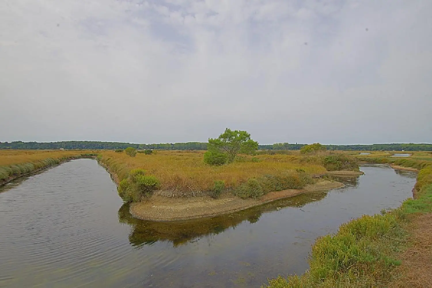  kaufen Grundstück L'Île-d'Olonne Vendée 2
