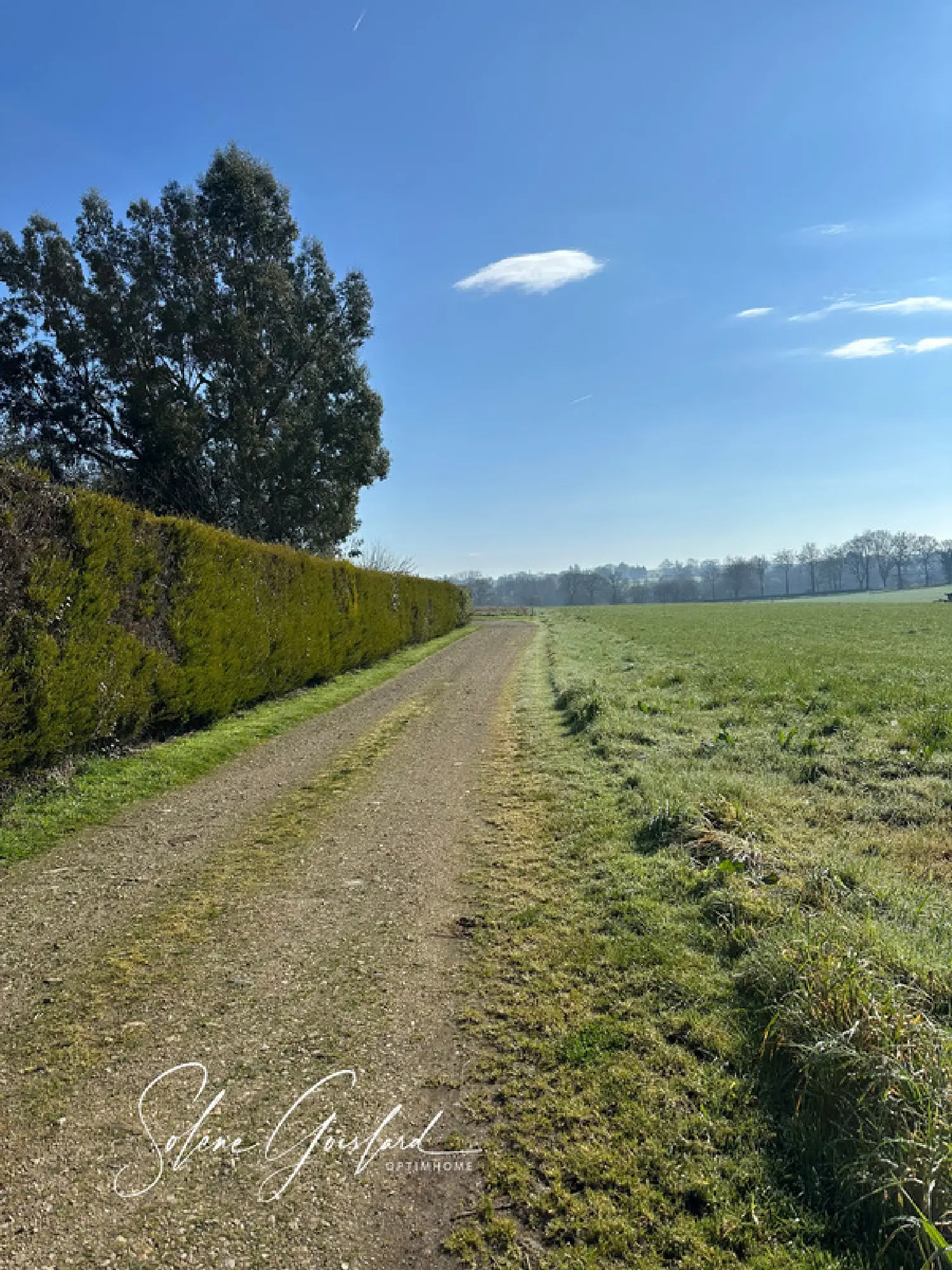  à vendre terrain La Gacilly Morbihan 3