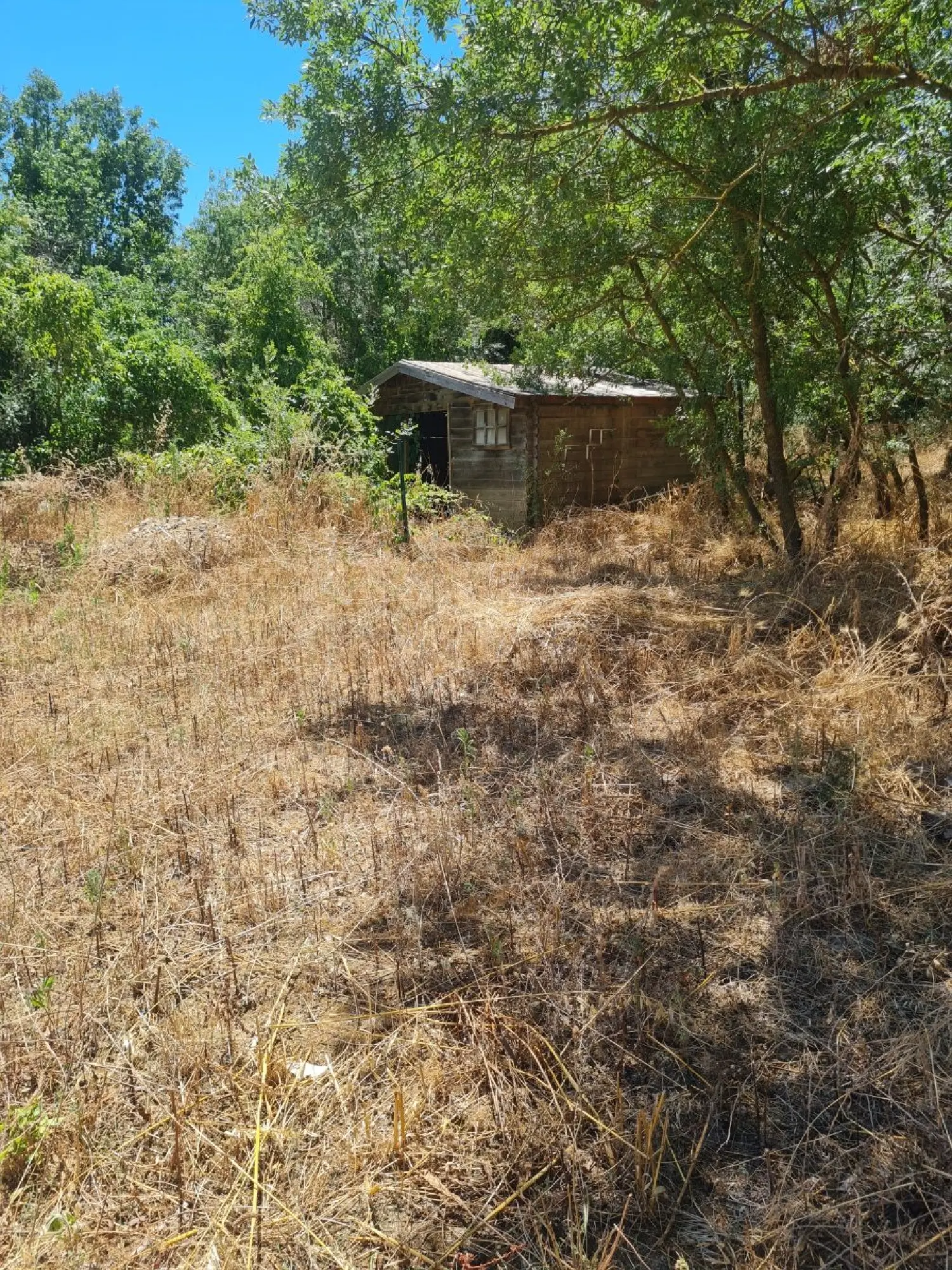  à vendre terrain Laroque-des-Albères Pyrénées-Orientales 1