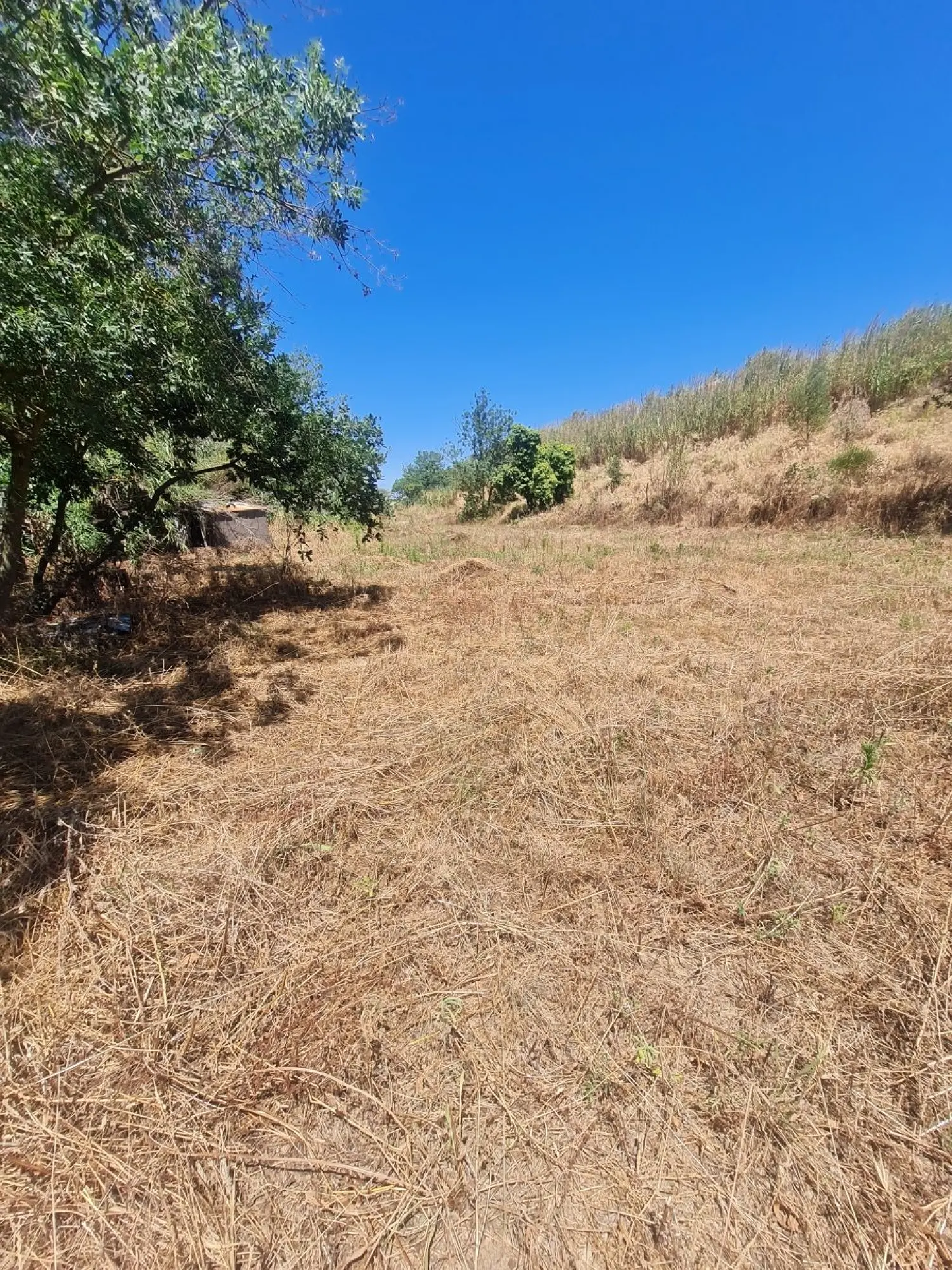  à vendre terrain Laroque-des-Albères Pyrénées-Orientales 2
