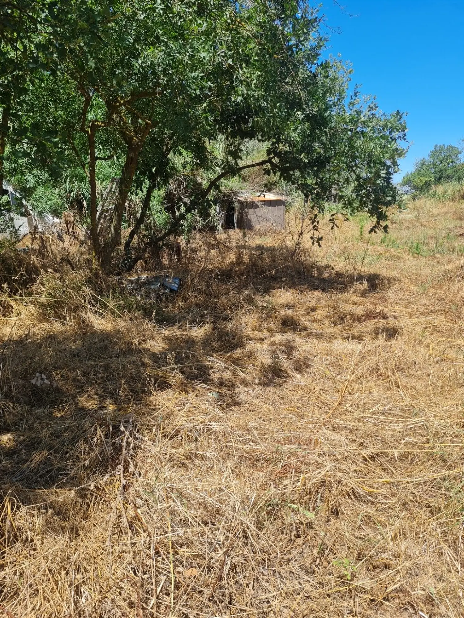  à vendre terrain Laroque-des-Albères Pyrénées-Orientales 3