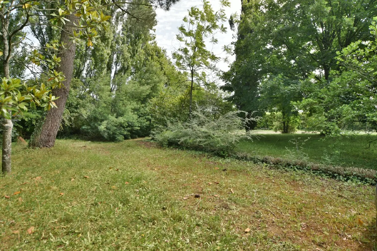 en venta terreno Le Puy-Saint-Bonnet Maine-et-Loire 2