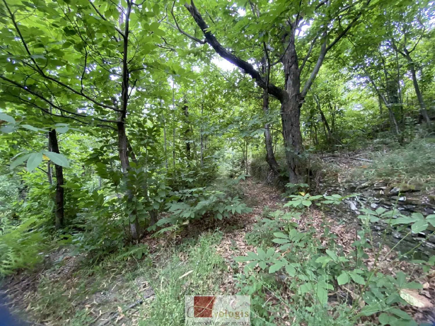  à vendre terrain Le Vigan Gard 1