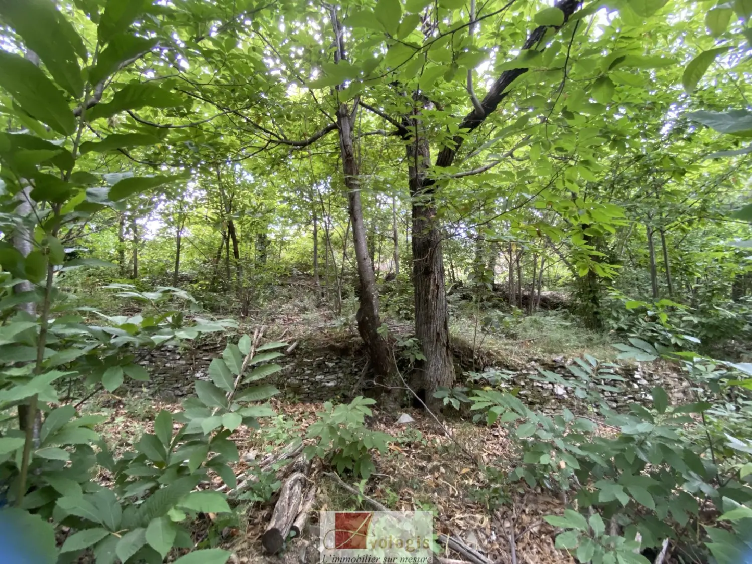  à vendre terrain Le Vigan Gard 2