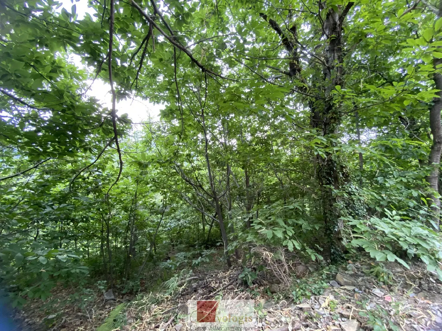  à vendre terrain Le Vigan Gard 3