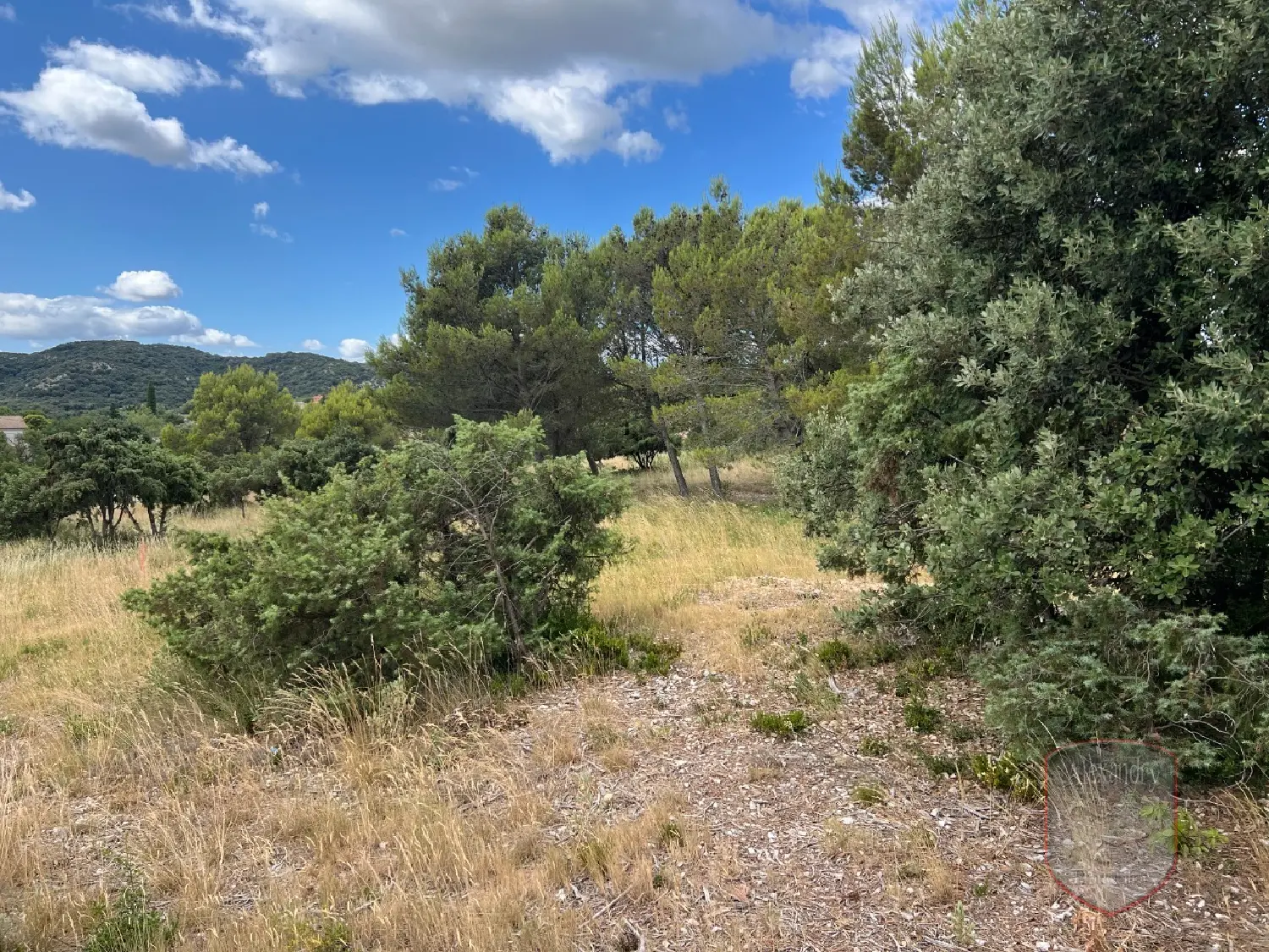  à vendre terrain Lirac Gard 4