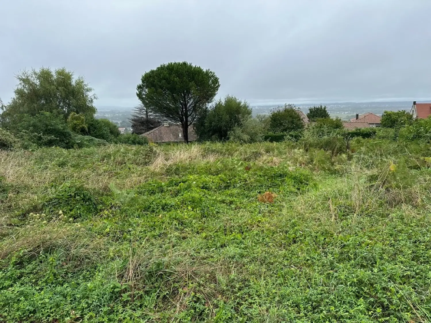 kaufen Grundstück Louey Hautes-Pyrénées 1