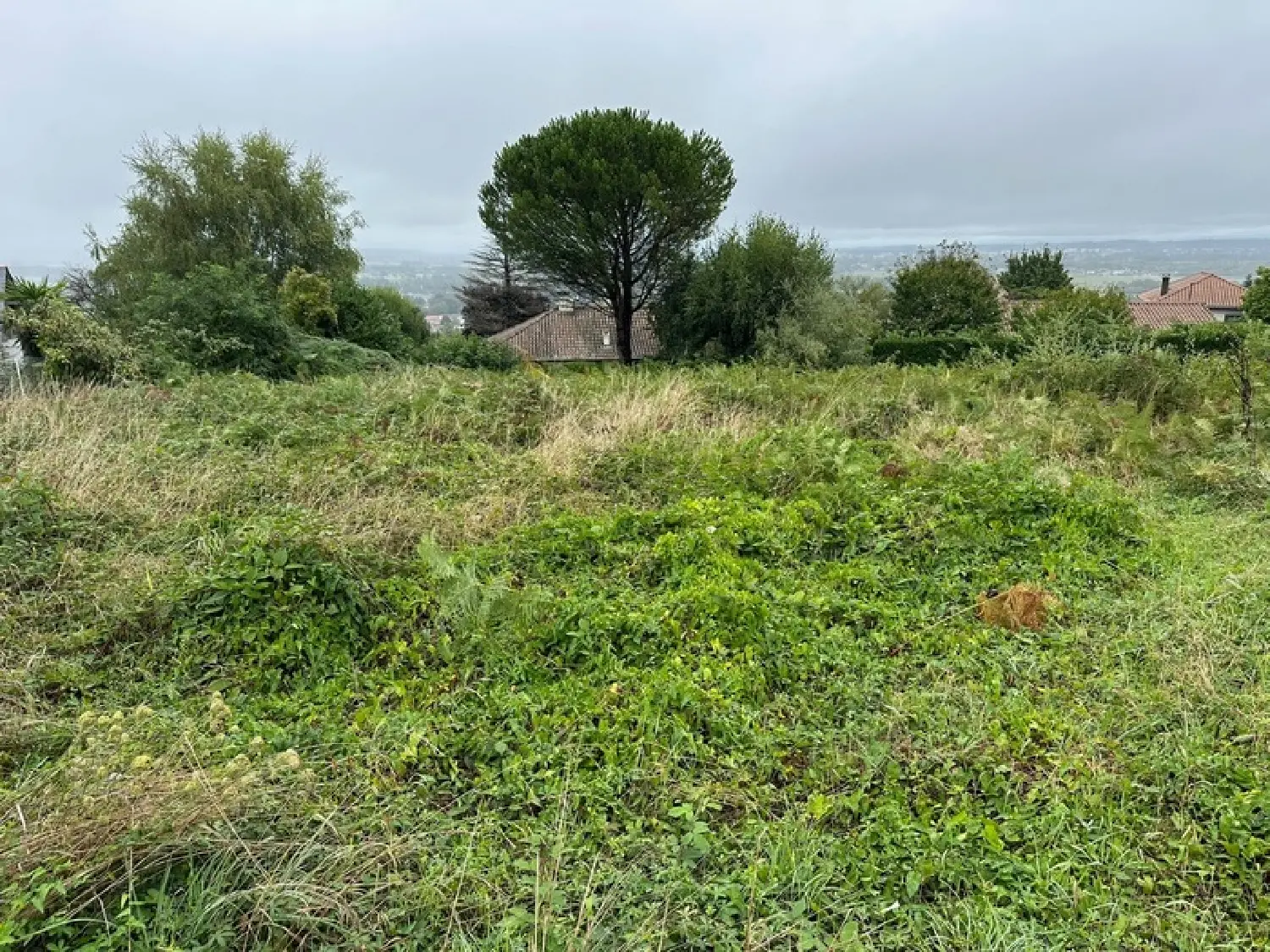  kaufen Grundstück Louey Hautes-Pyrénées 2