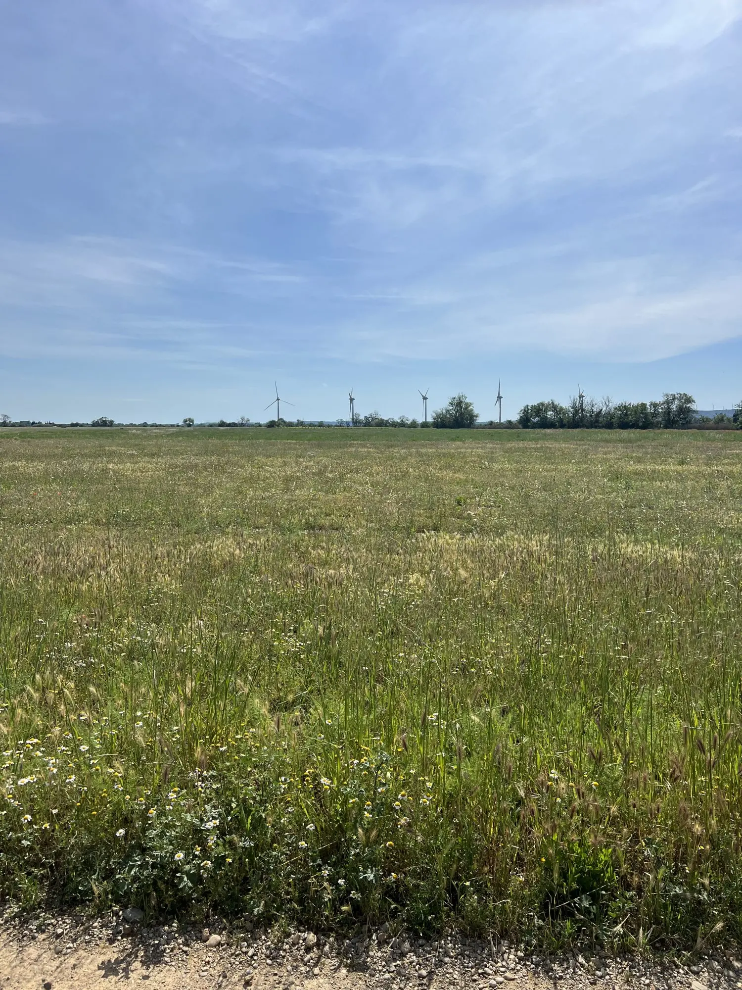  en venta terreno Luc-sur-Orbieu Aude 2