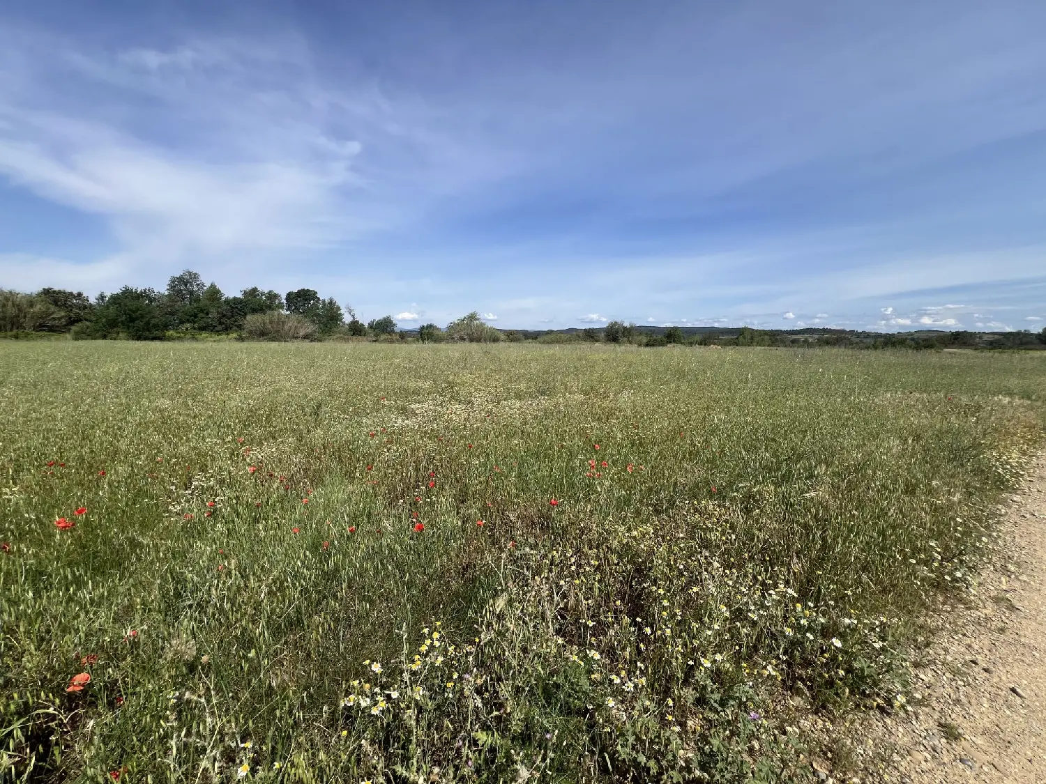  en venta terreno Luc-sur-Orbieu Aude 3