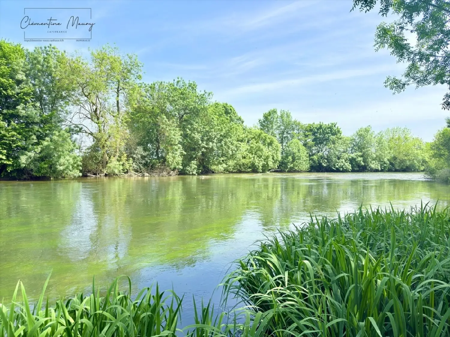 for sale terrain Lunay Loir-et-Cher 3