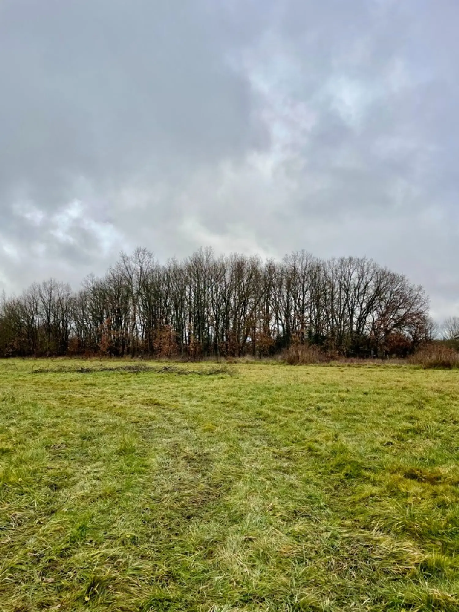  te koop terrein Montauban Tarn-et-Garonne 6
