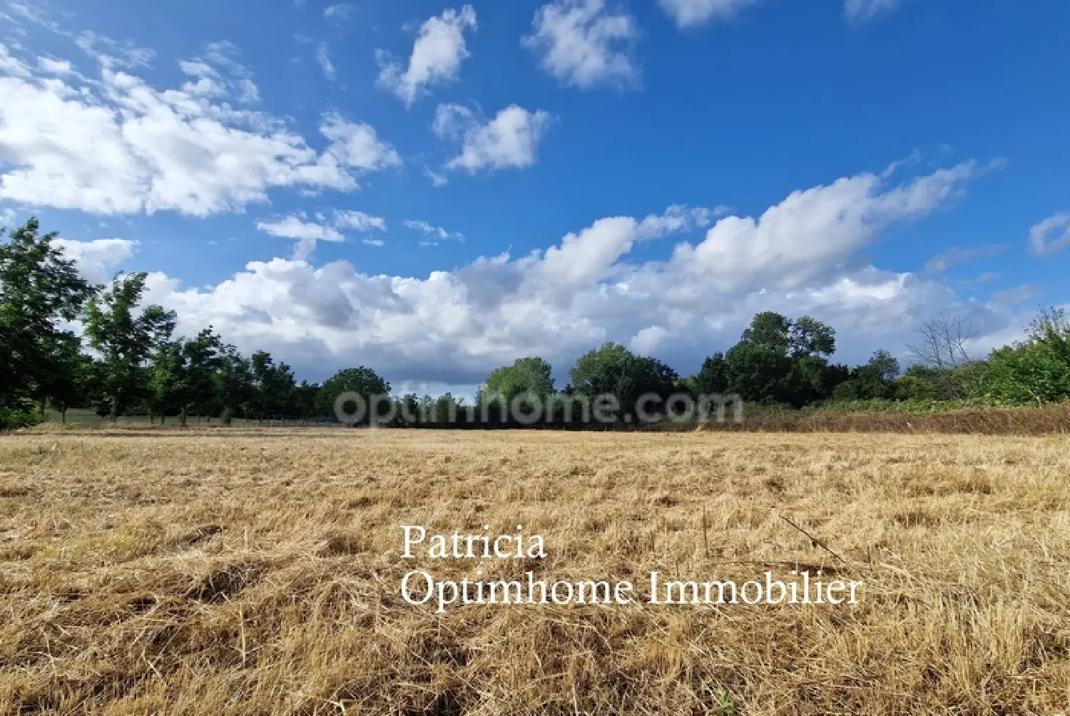  kaufen Grundstück Moustier Lot-et-Garonne 2