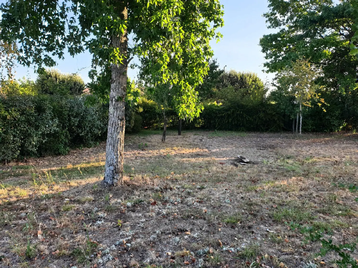  à vendre terrain Nieulle-sur-Seudre Charente-Maritime 3