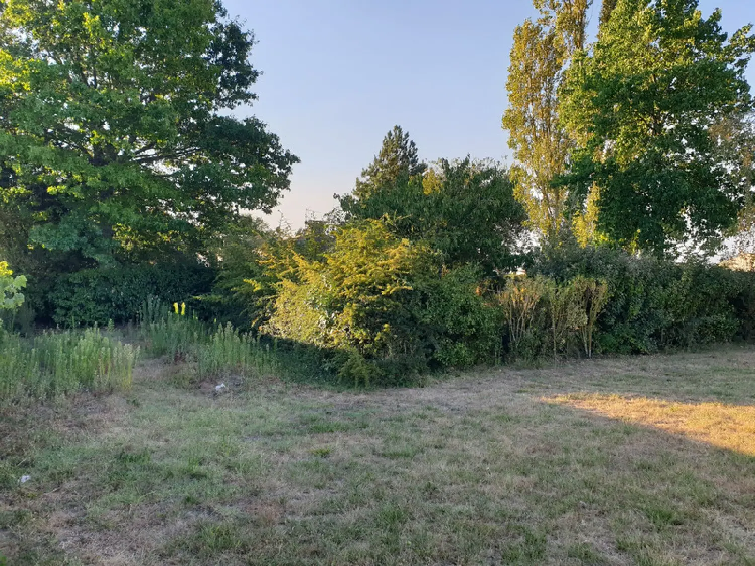  à vendre terrain Nieulle-sur-Seudre Charente-Maritime 4