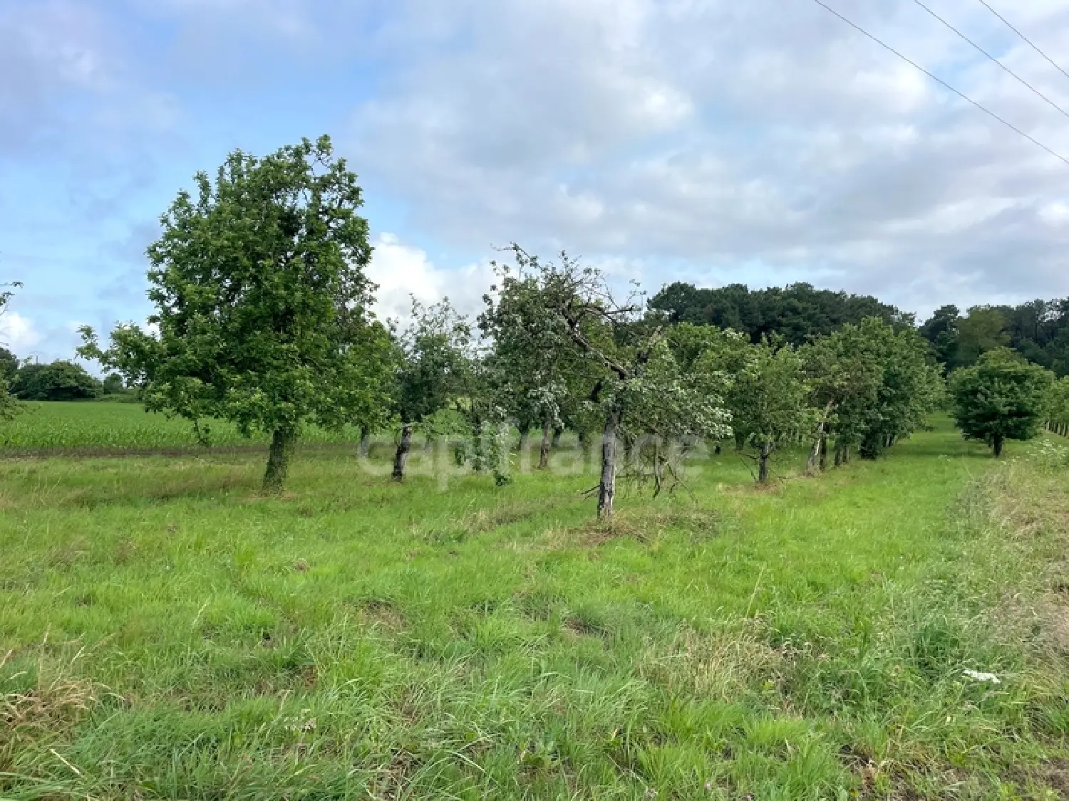  en venta terreno Nivillac Morbihan 1