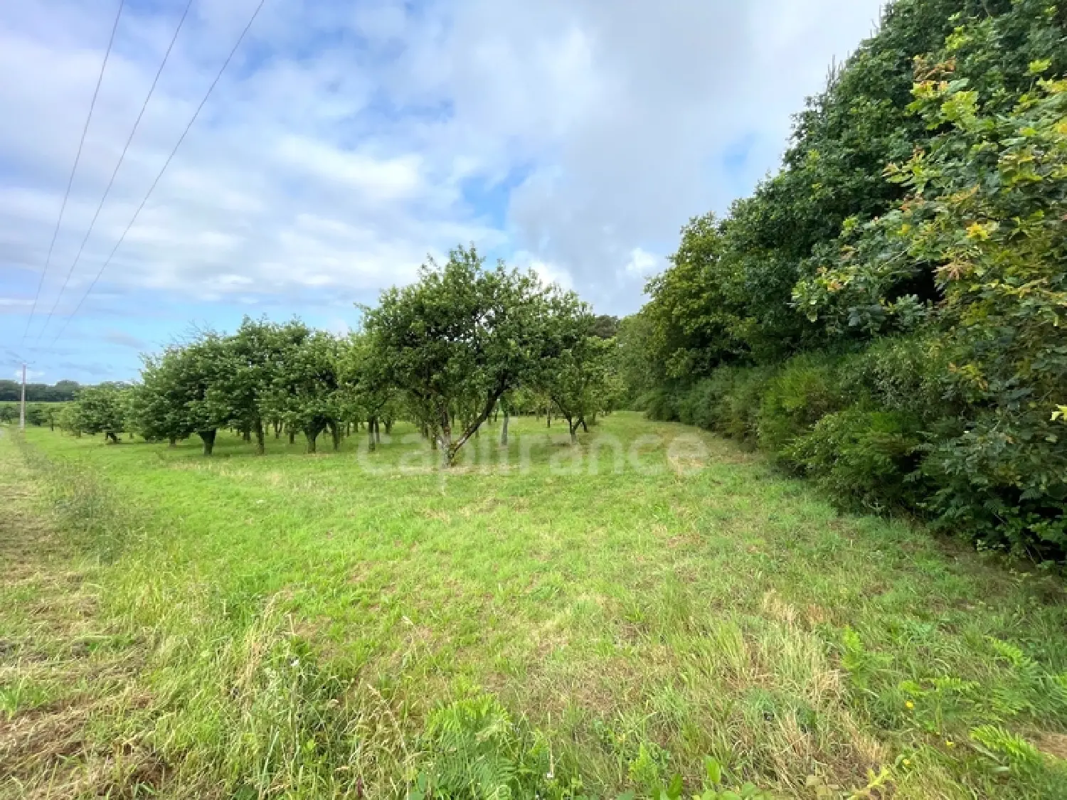  en venta terreno Nivillac Morbihan 2