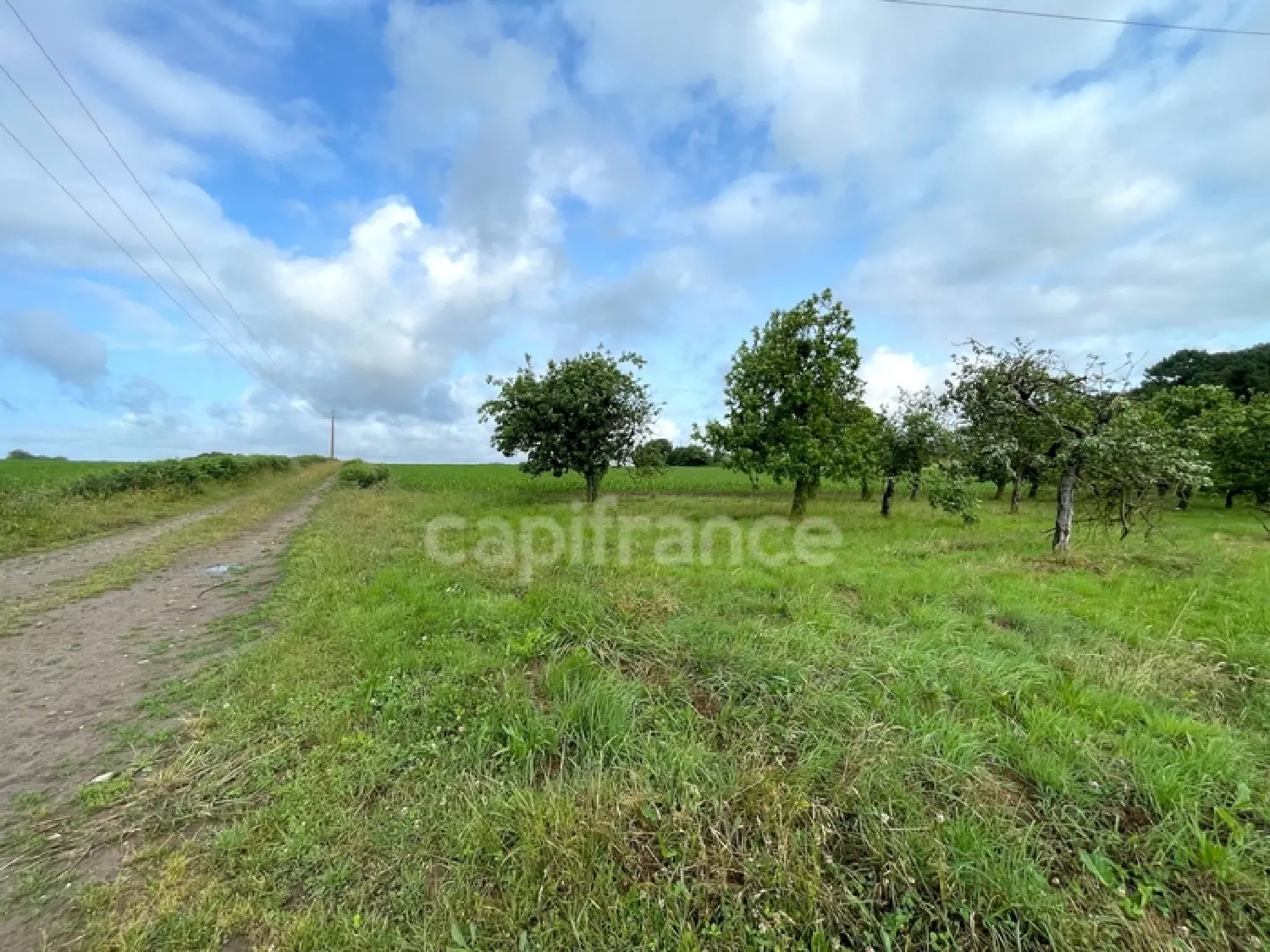  en venta terreno Nivillac Morbihan 3