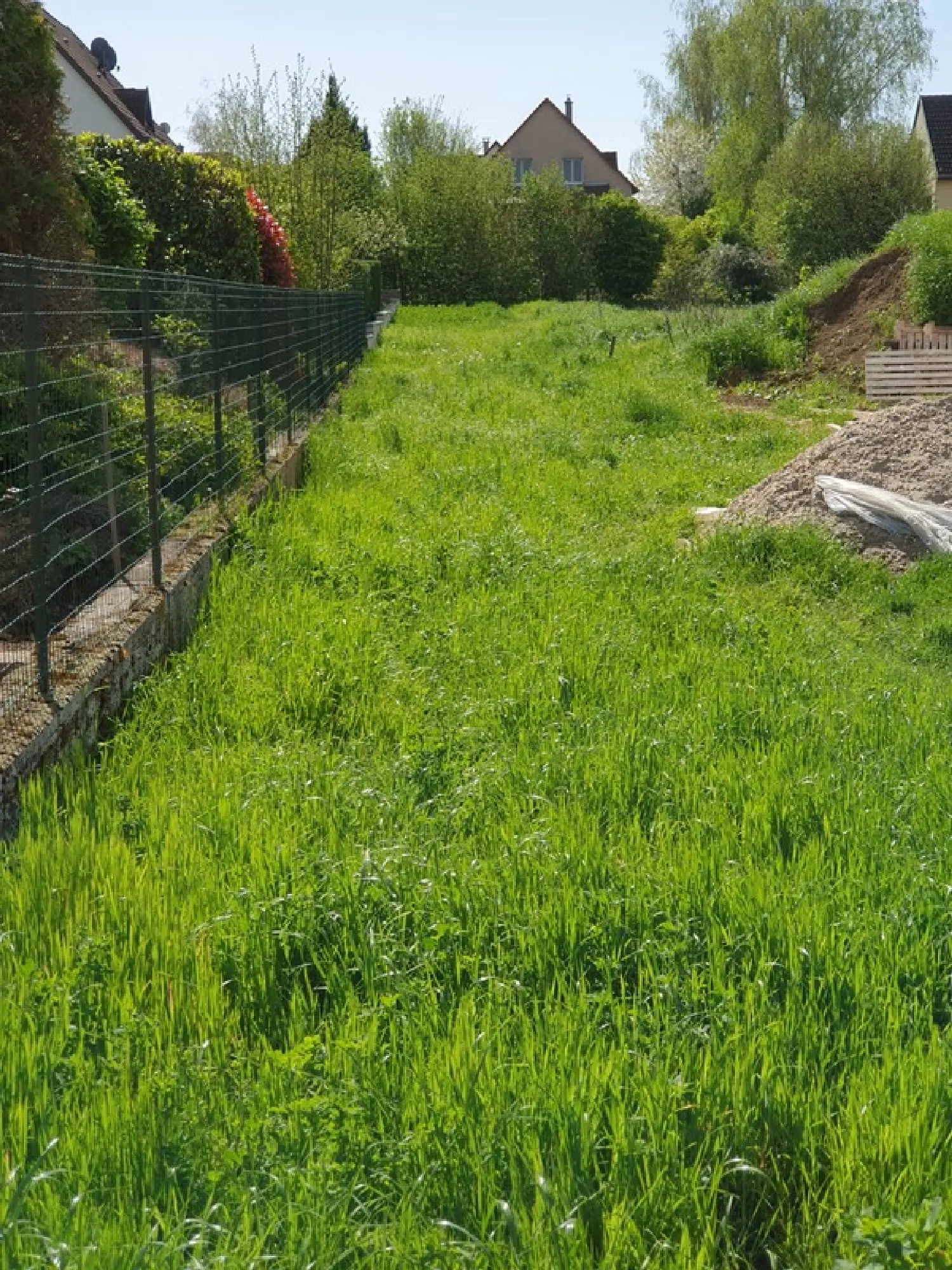  à vendre terrain Offenheim Bas-Rhin 3