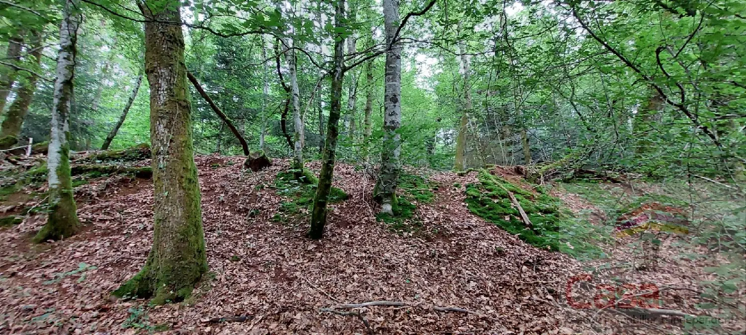  kaufen Grundstück Plancher-les-Mines Haute-Saône 1